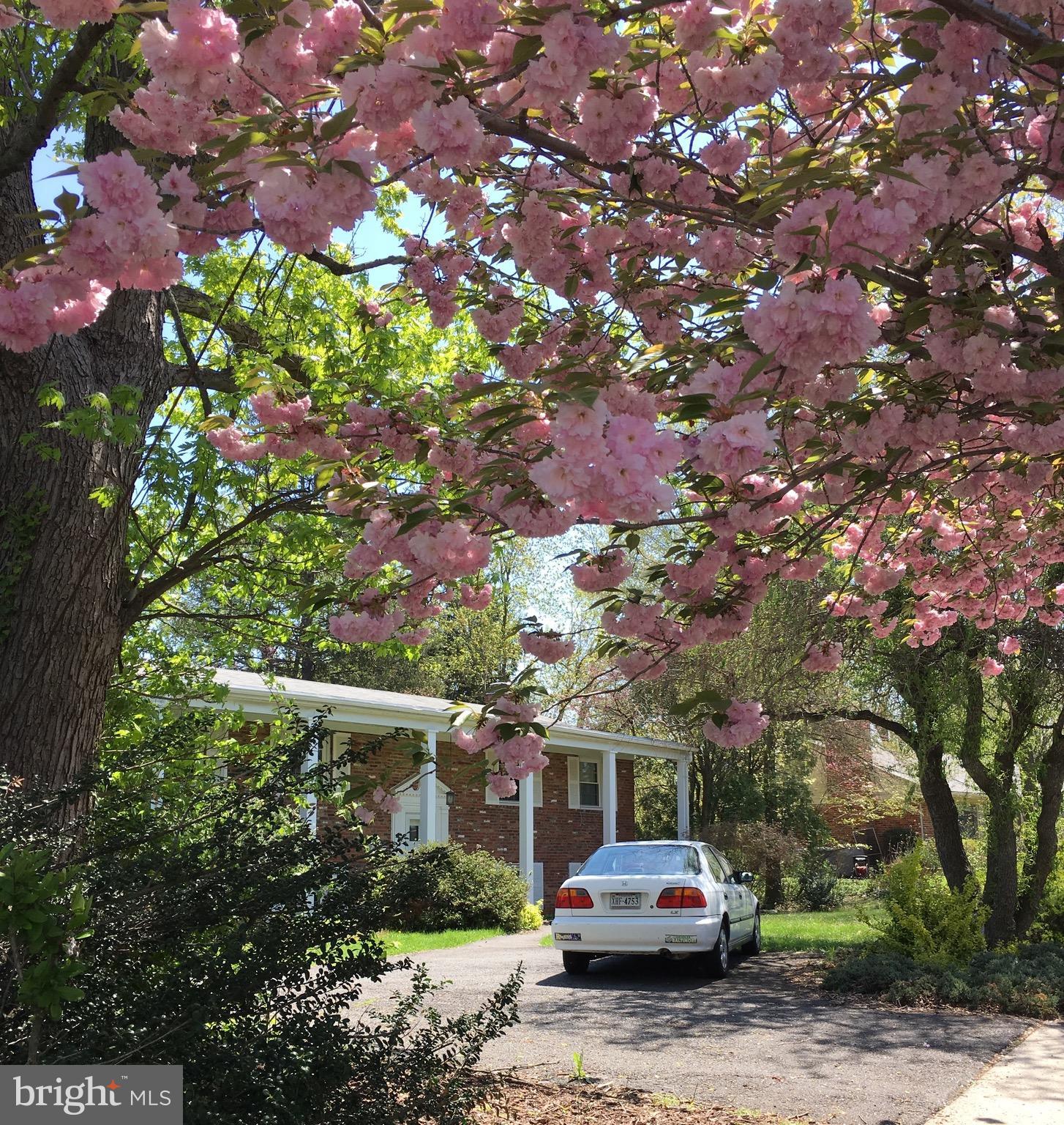 WESTBURY HEIGHTS - Residential Lease