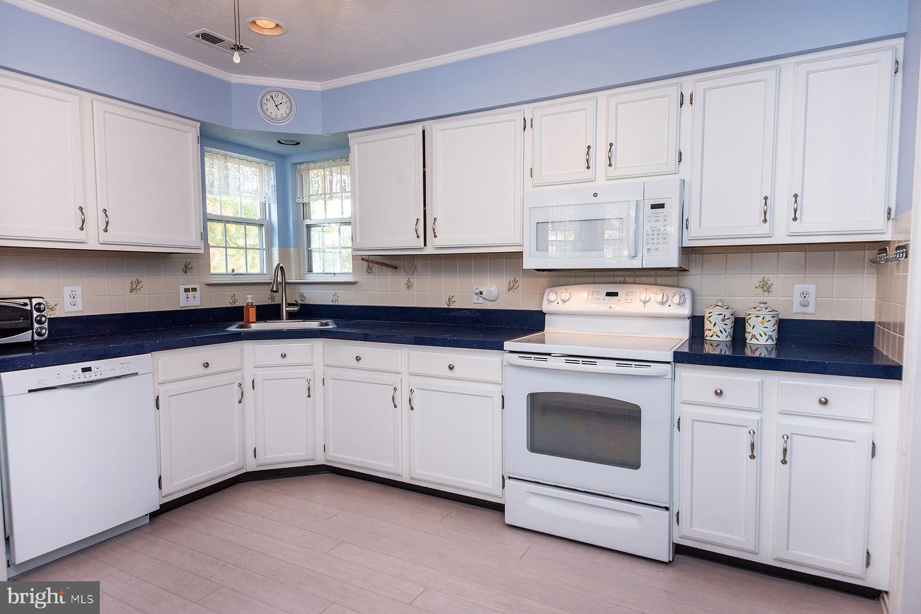 420 ELDERBERRY COURT