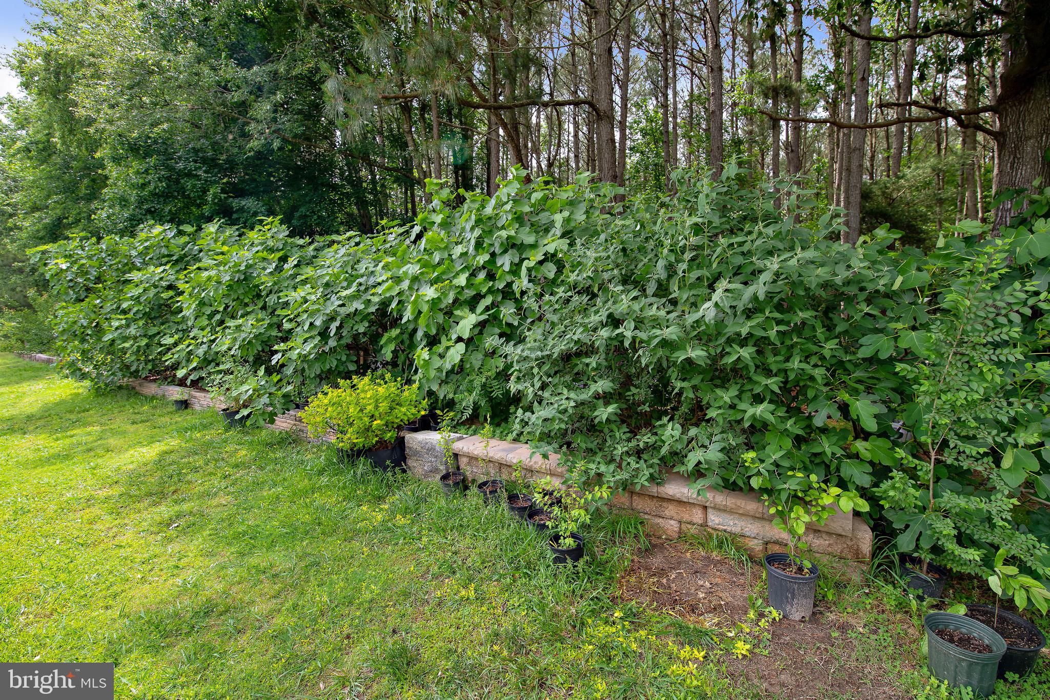 HEBRON WOODS - Residential