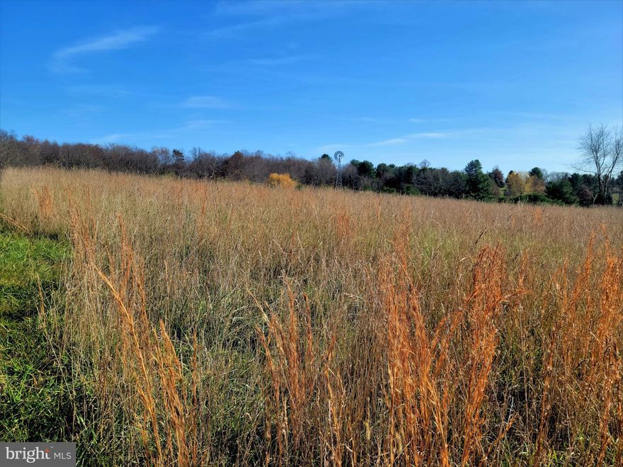 Beautiful, rural 1.62- acre building lot with distant mountain views in Hancock, MD just south of the Pennsylvania board.  The lot is rectangular in shape with a gentle slope.  The potential home site sits almost directly in the middle of the lot.  Very little clearing needed to begin building.  The lot has been perc tested and approved for a conventional septic by the Washington County Health Department.  Property corners are stacked and visible.  Recorded plat is also available making this lot ready for you to build your dream home on!