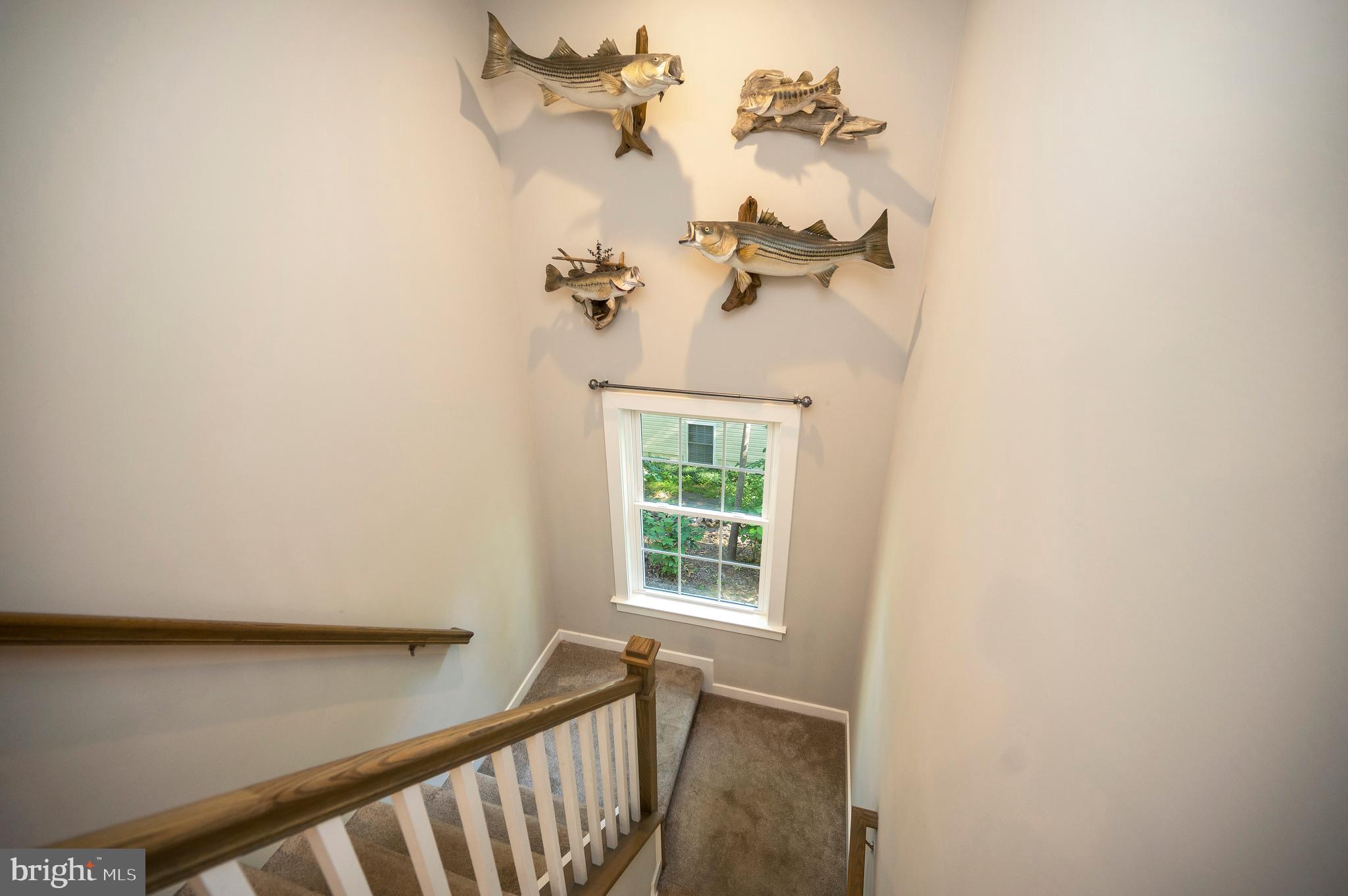 LAKE OF THE WOODS - Residential