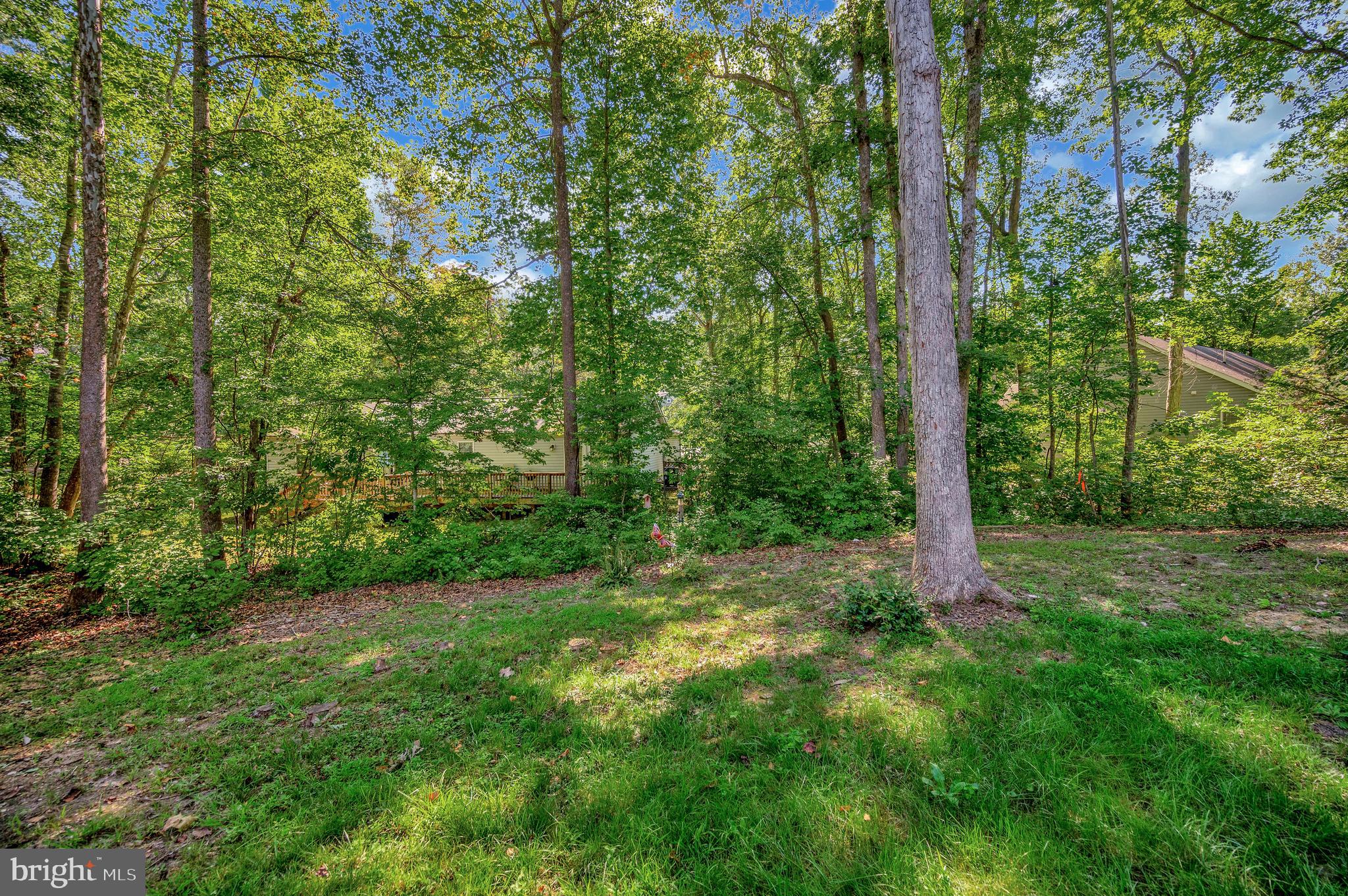 LAKE OF THE WOODS - Residential