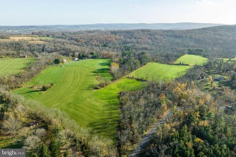 AMITY PARK ROAD DOUGLASSVILLE PA 19518