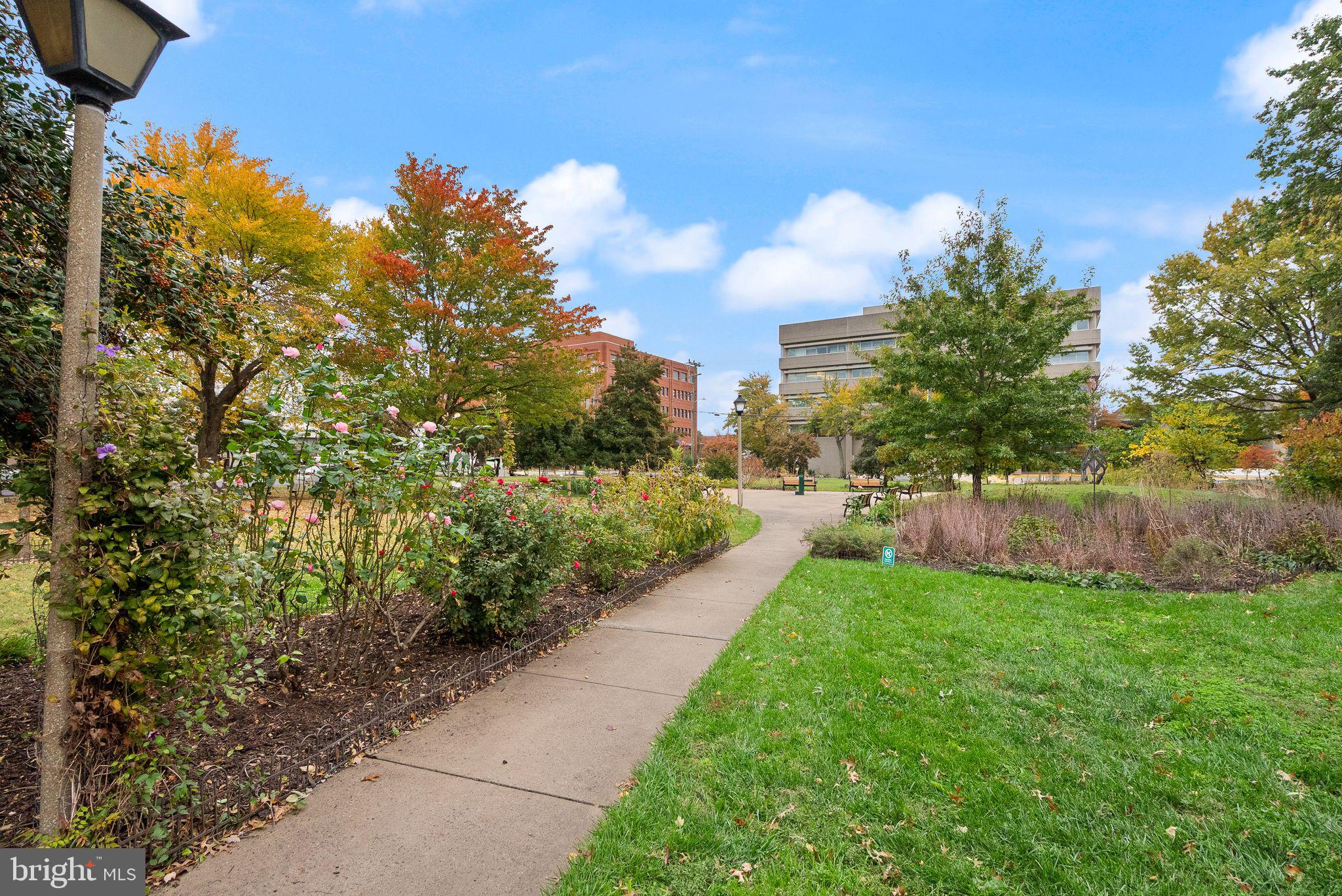 ALEXANDRIA HOUSE - Residential