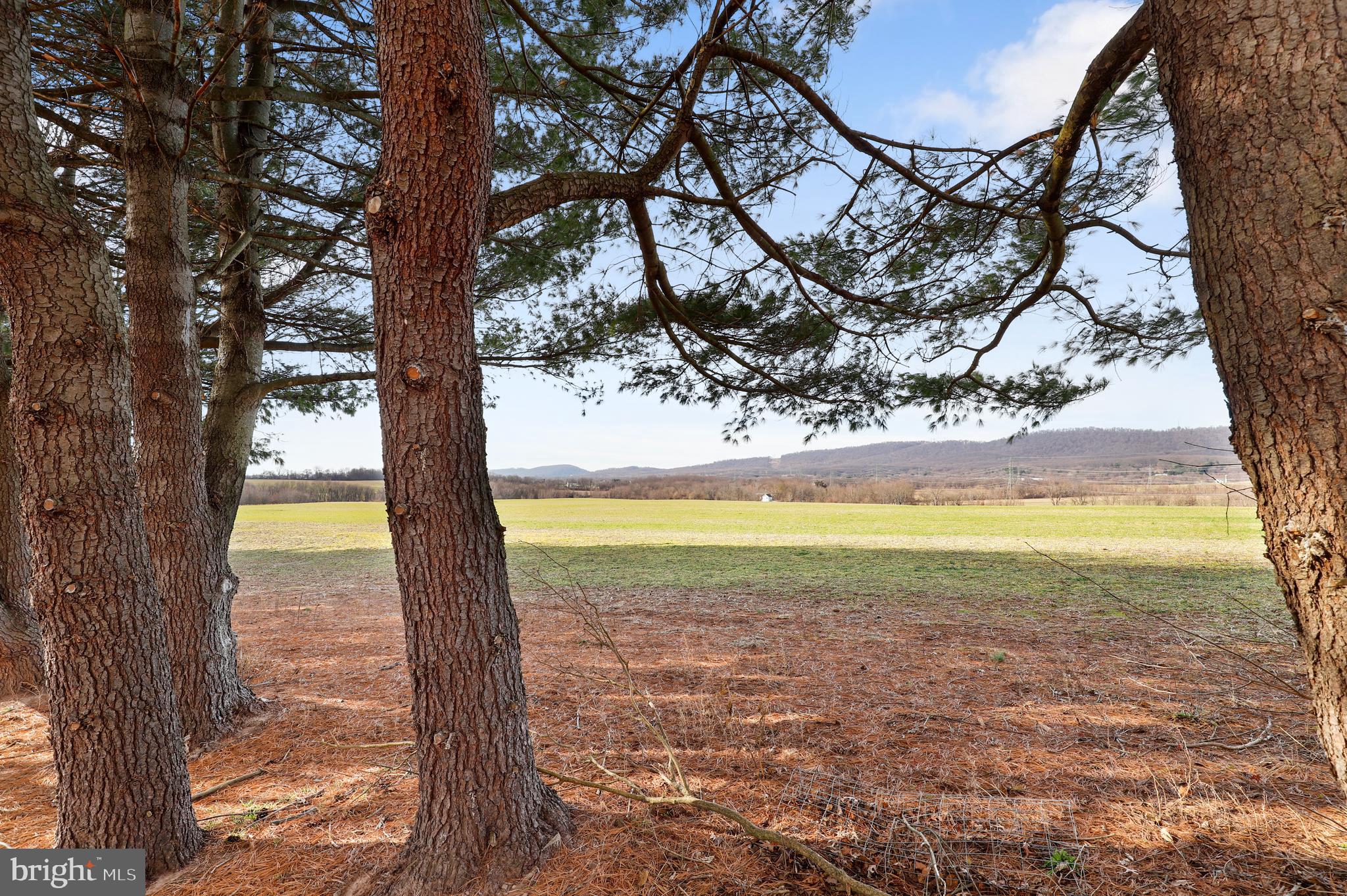 ABBINGTON FARMS - Residential