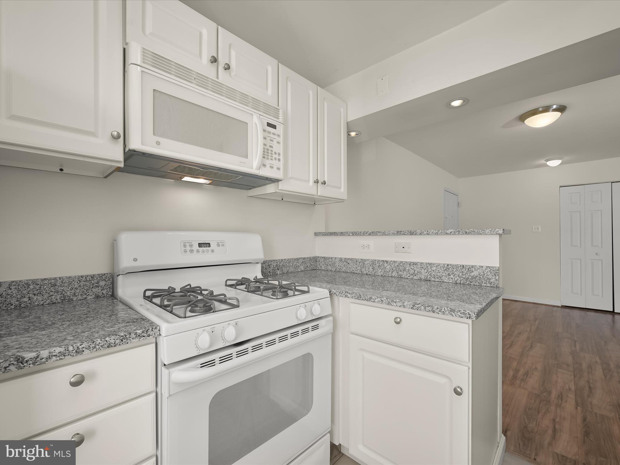 THE OASIS CONDOMINIUMS - Residential