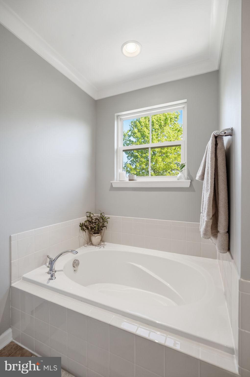BOLT PROPERTY - Residential