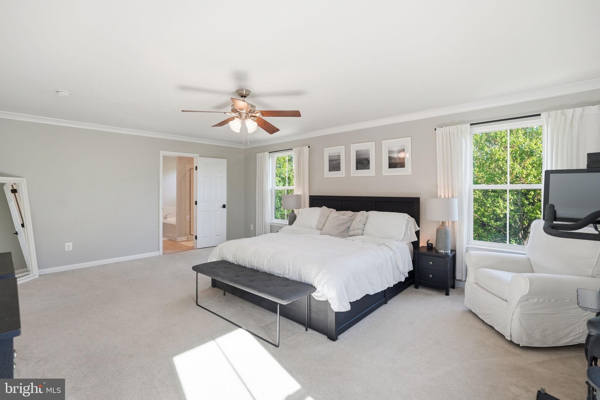 BOLT PROPERTY - Residential