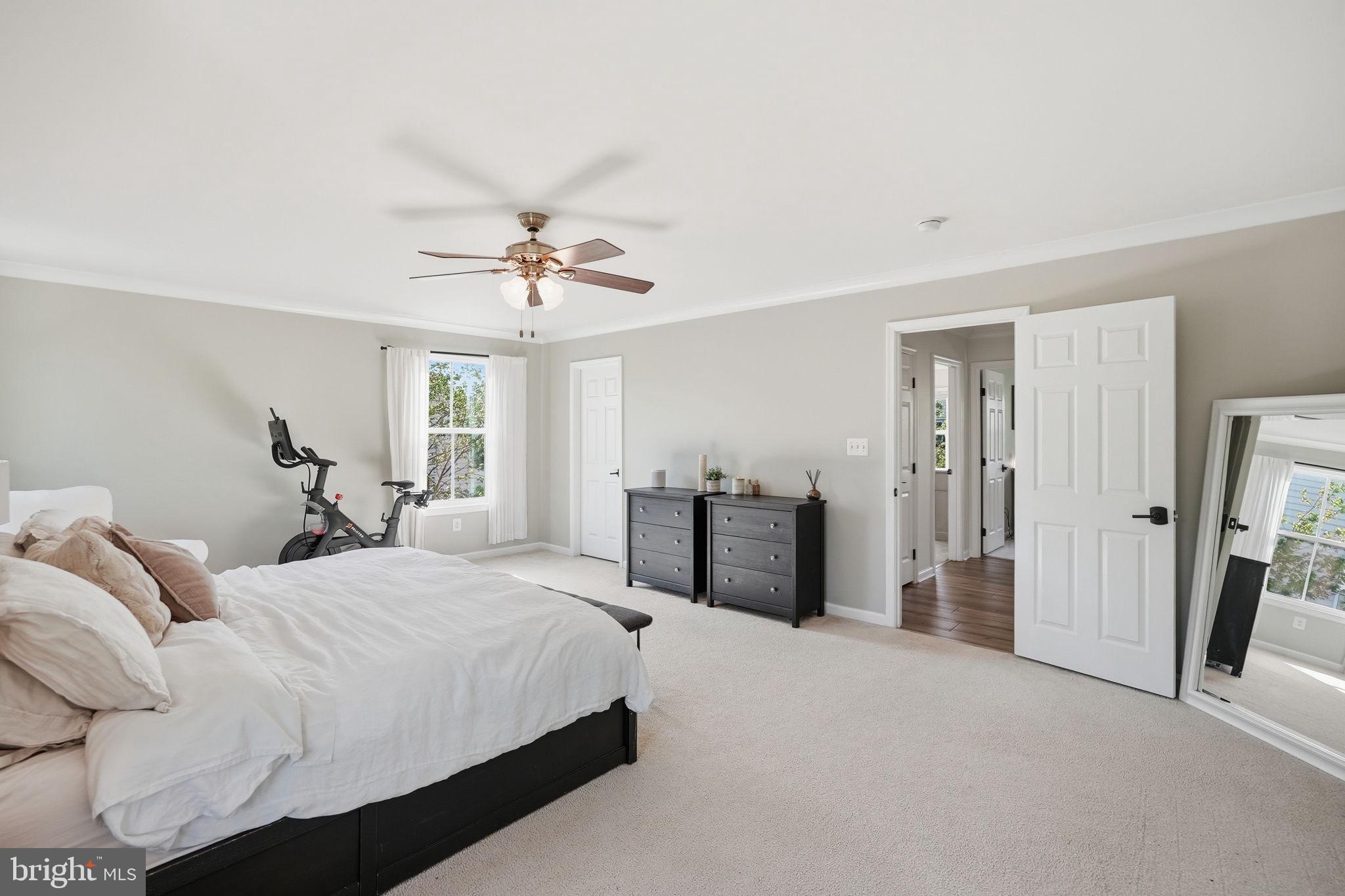 BOLT PROPERTY - Residential