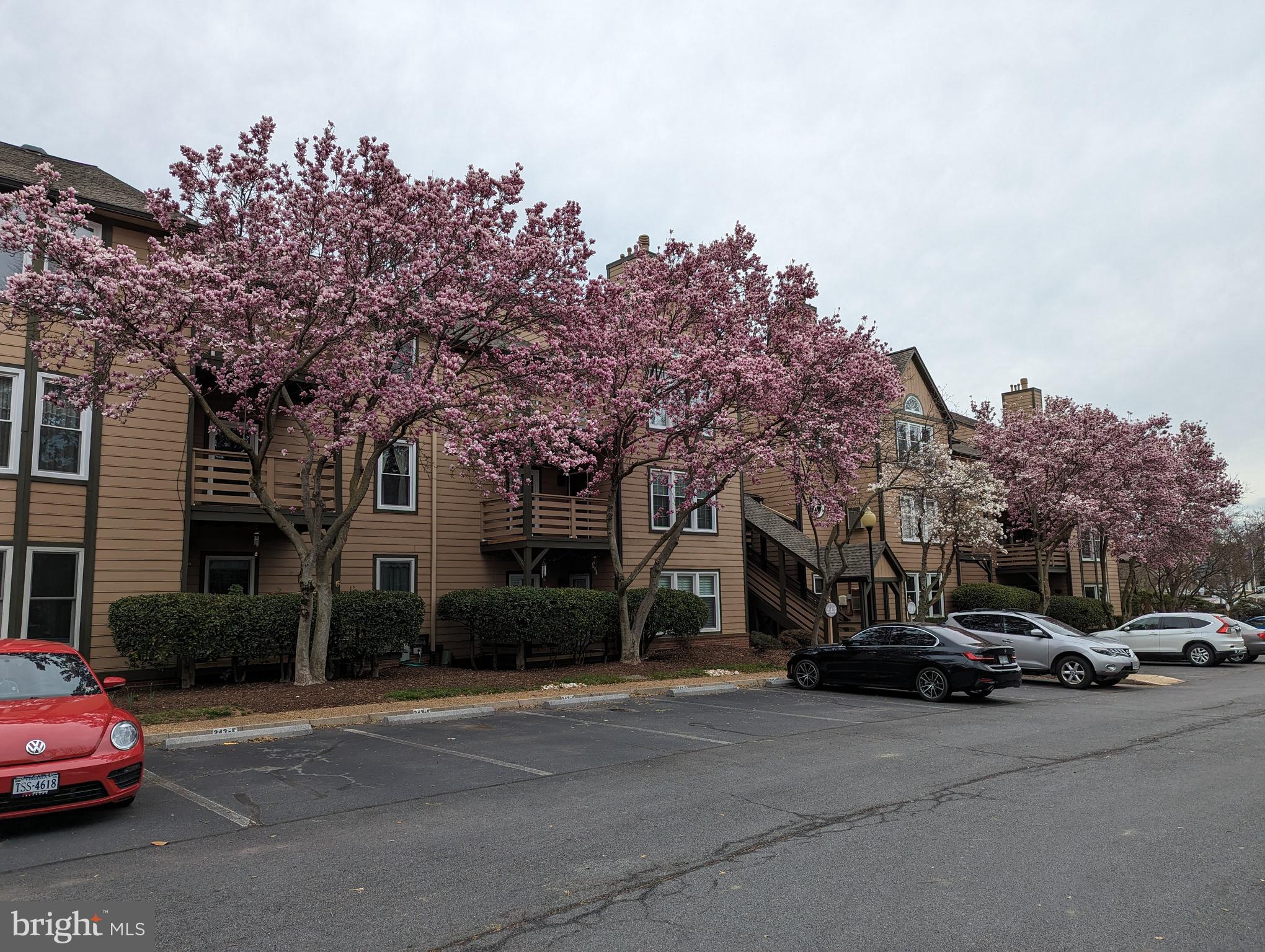 OLDE TOWNE - Residential Lease