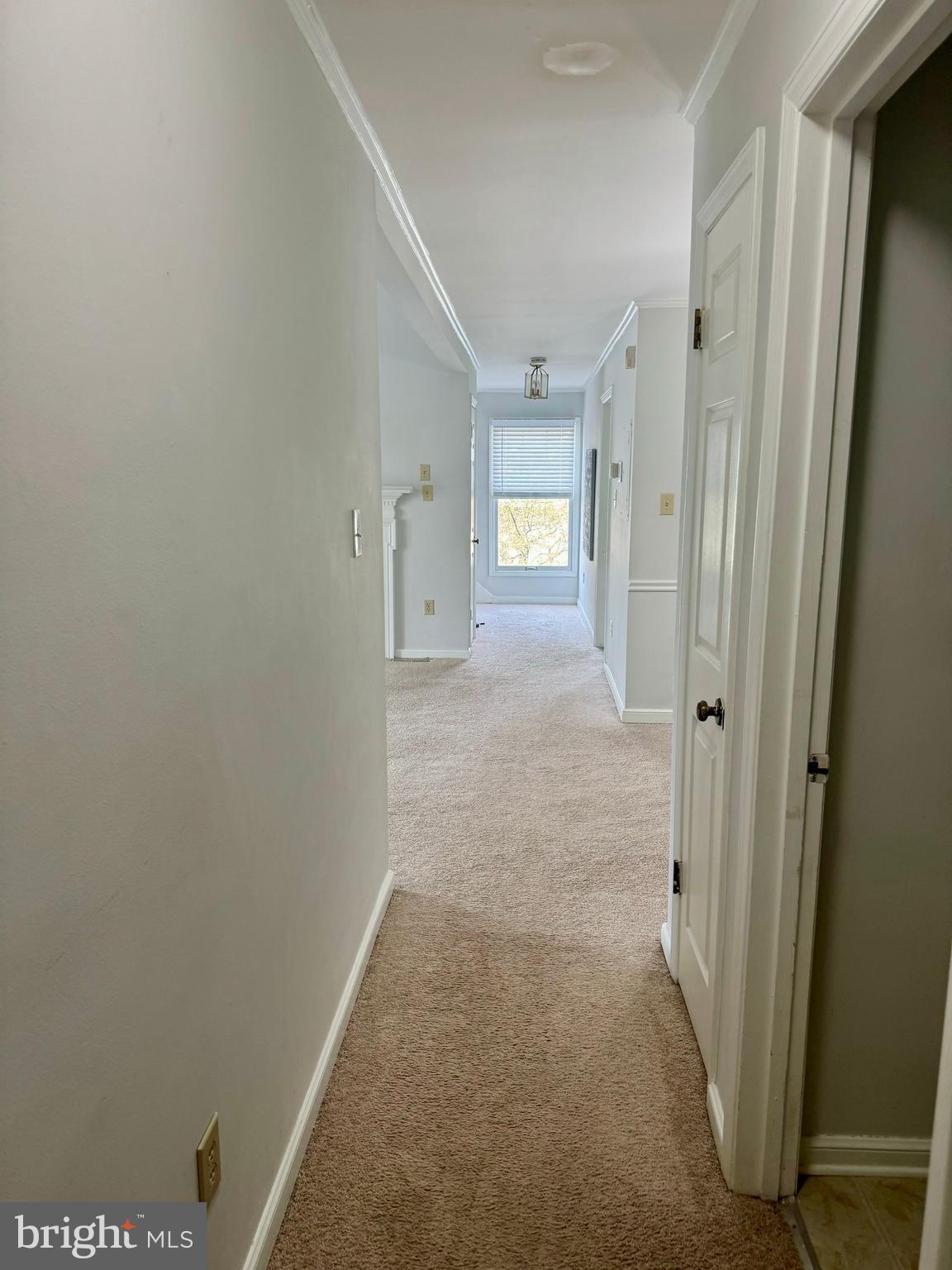 OLDE TOWNE - Residential Lease