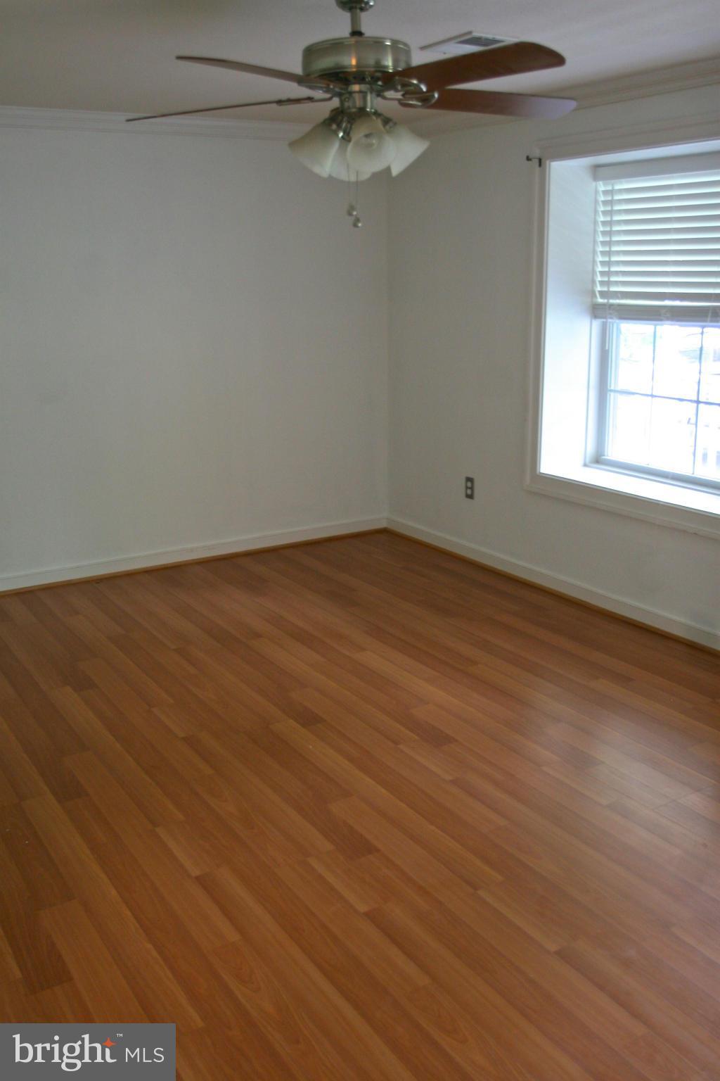 SHADE TREE - Residential