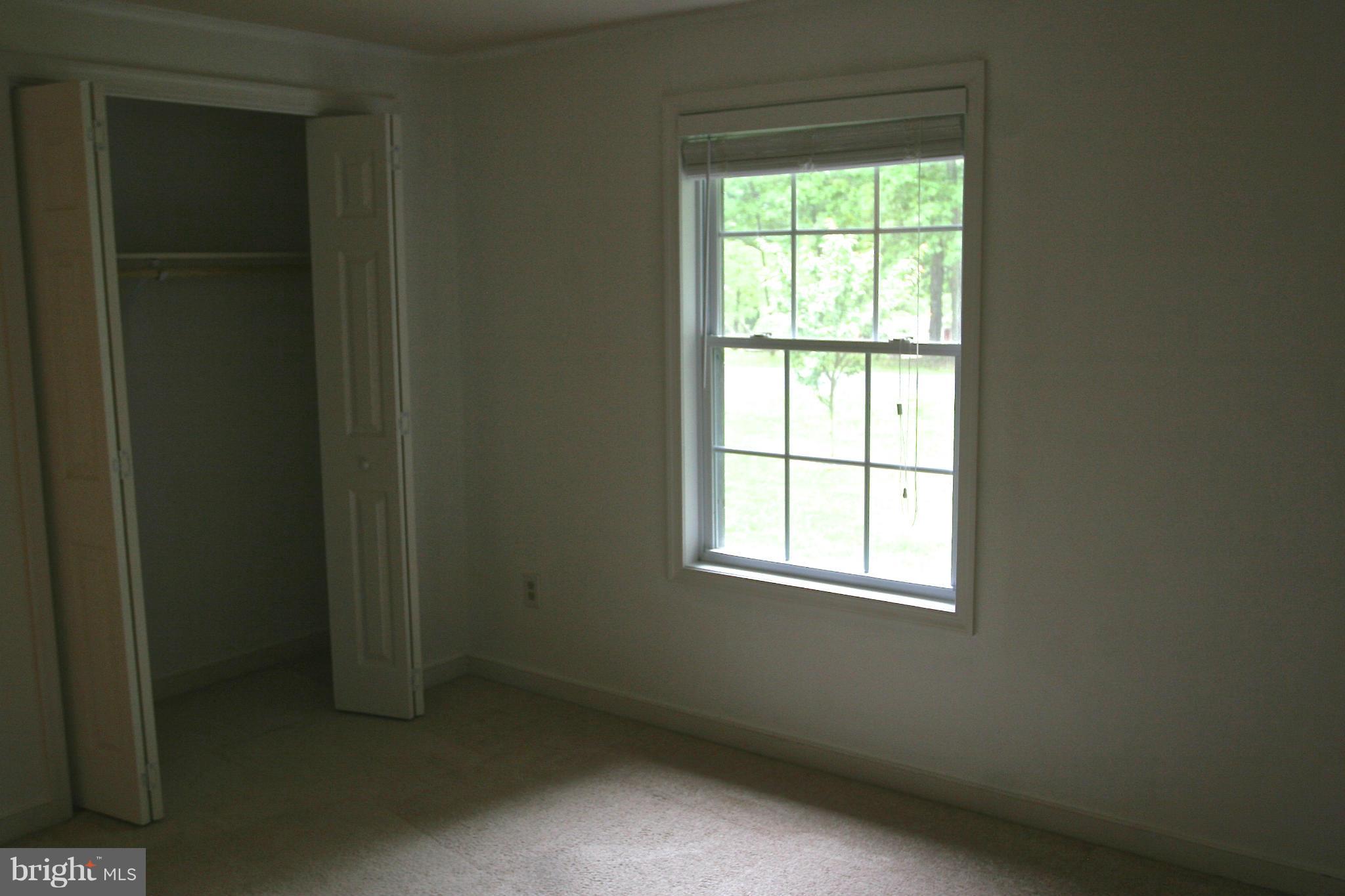 SHADE TREE - Residential