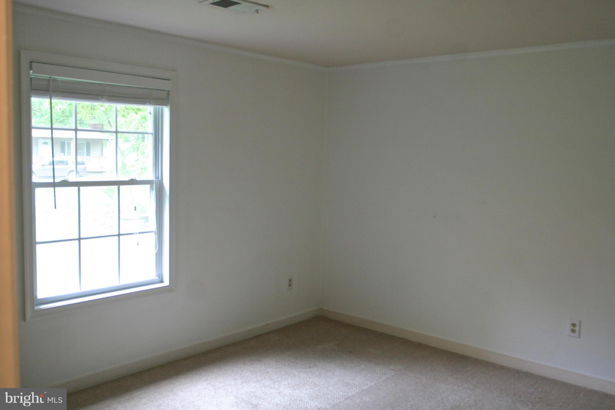 SHADE TREE - Residential