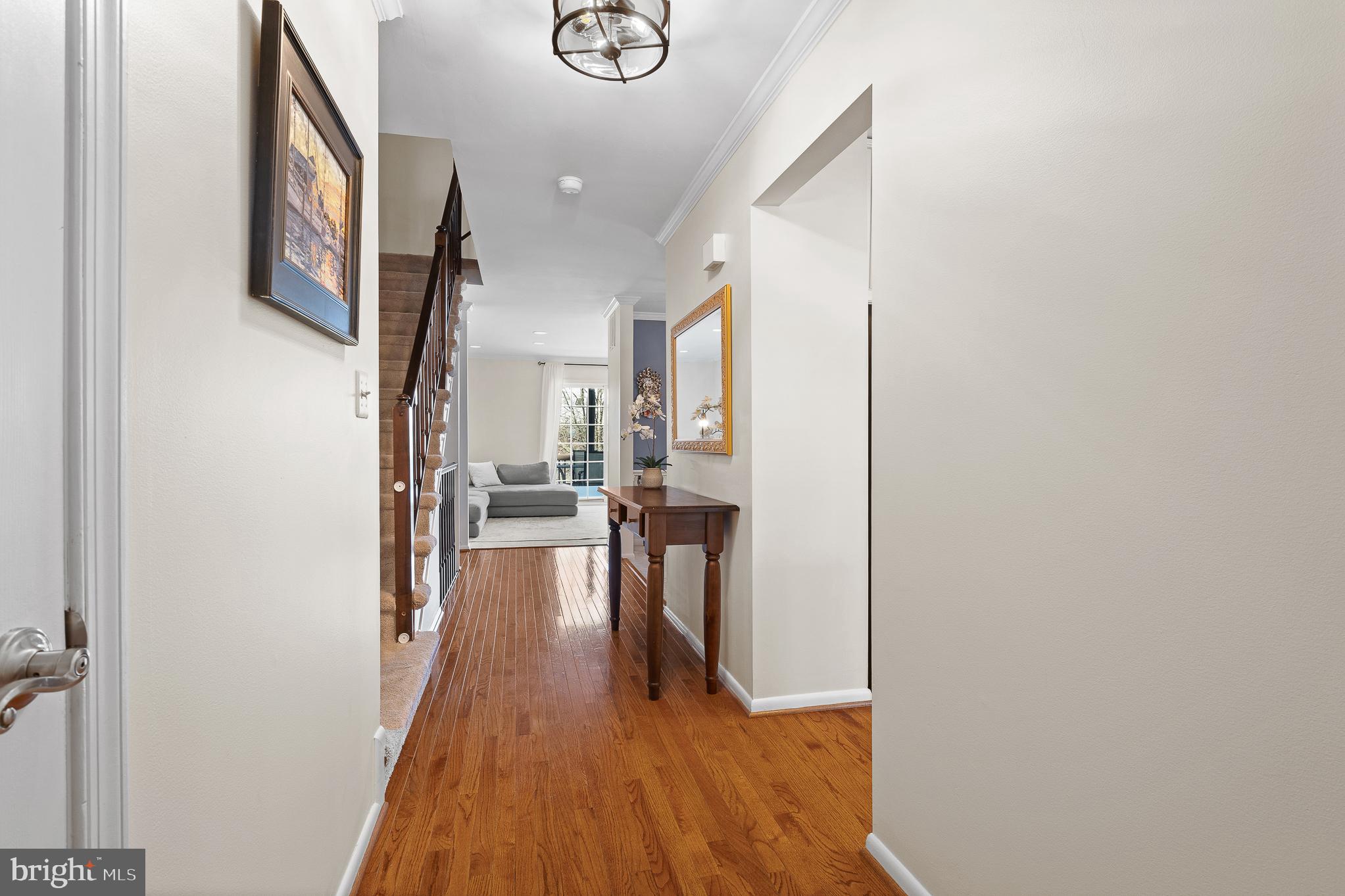 MAYS CHAPEL VILLAGE - Residential