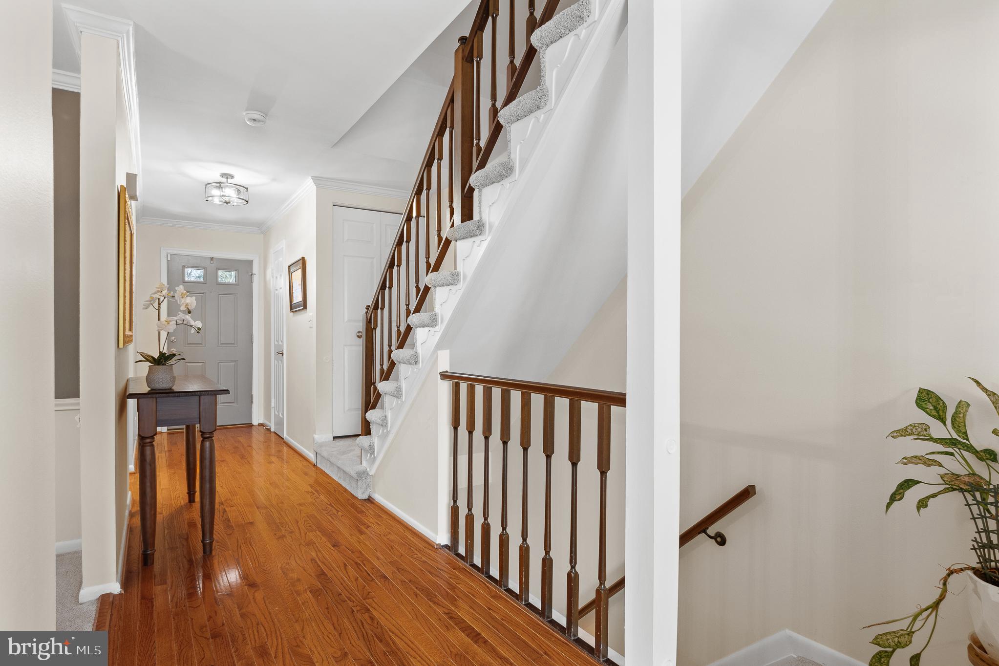 MAYS CHAPEL VILLAGE - Residential