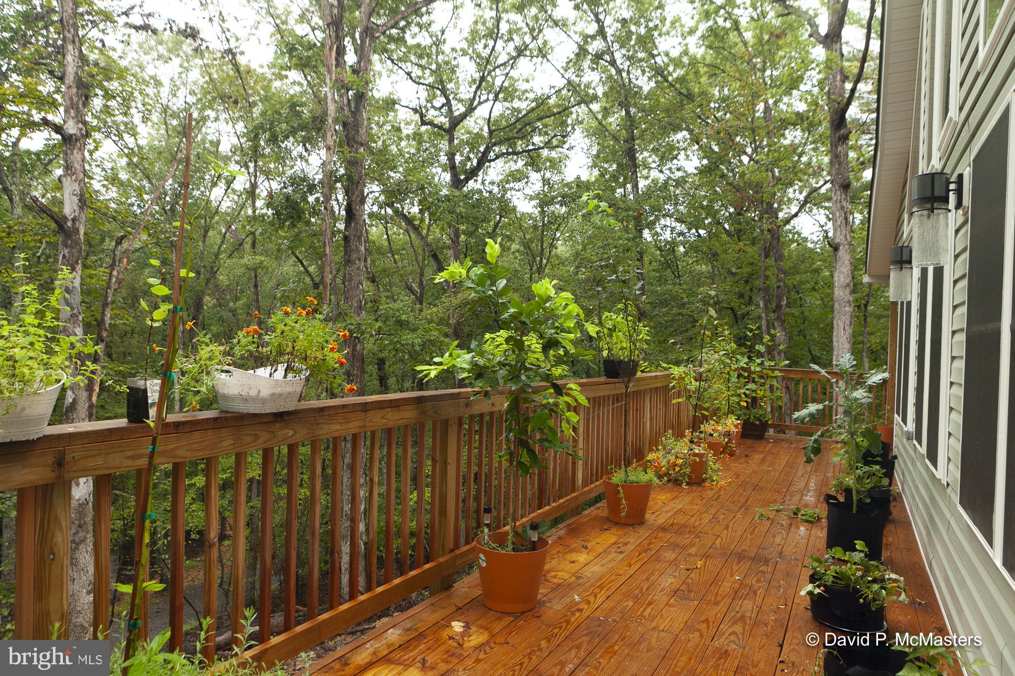 LAKEWOOD ACRES - Residential