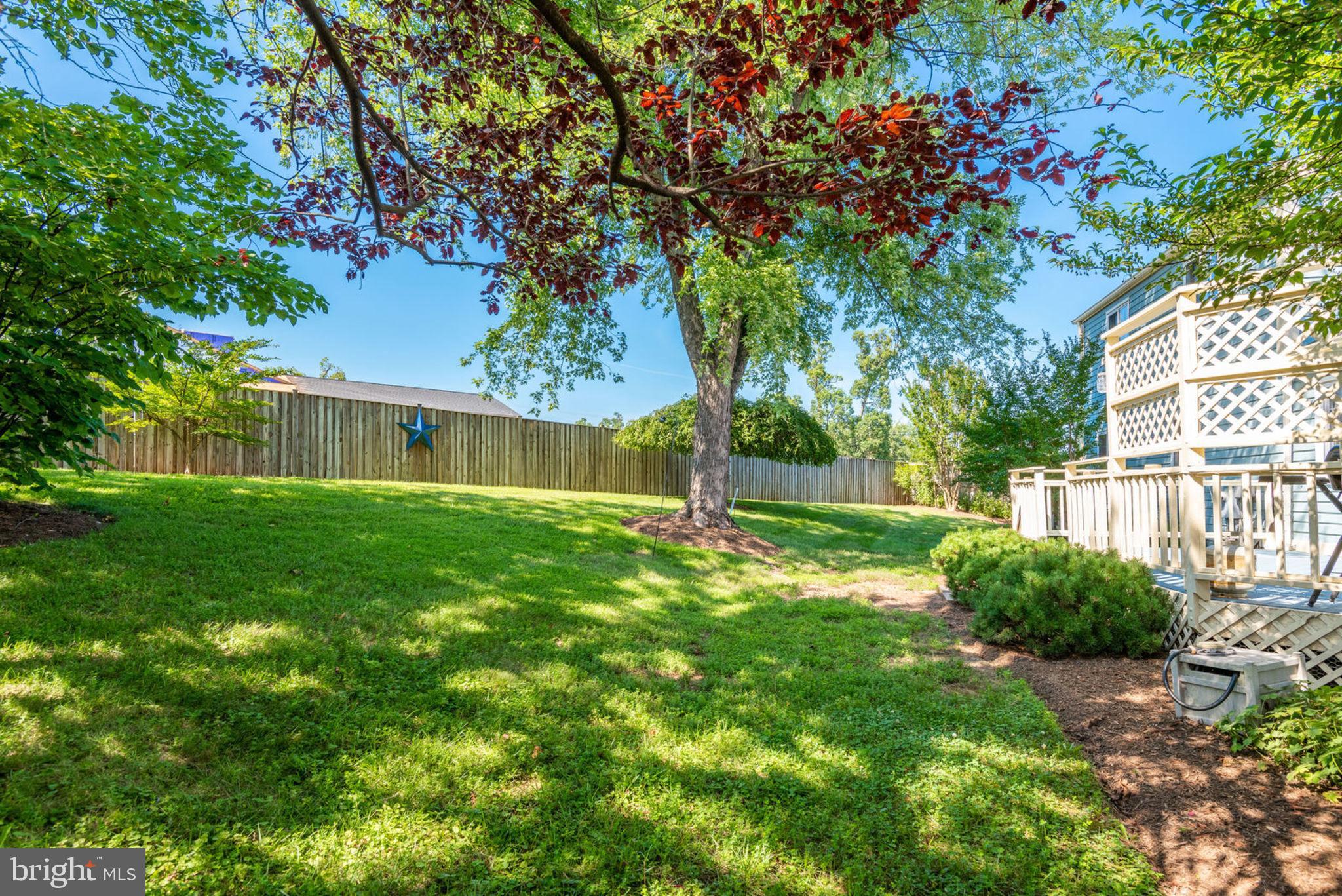 DOMINION VIEW - Residential