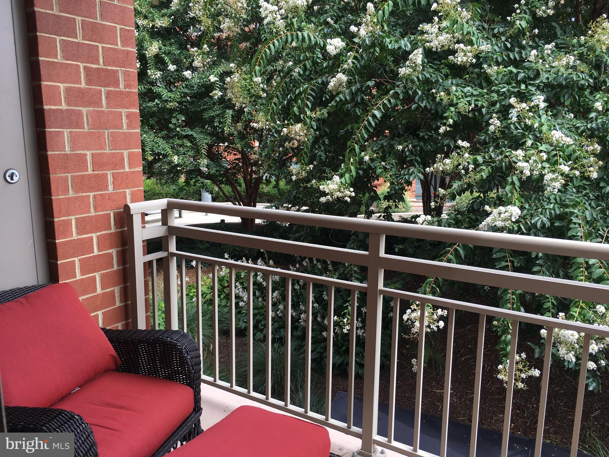 ECLIPSE ON CENTER PARK - Residential Lease