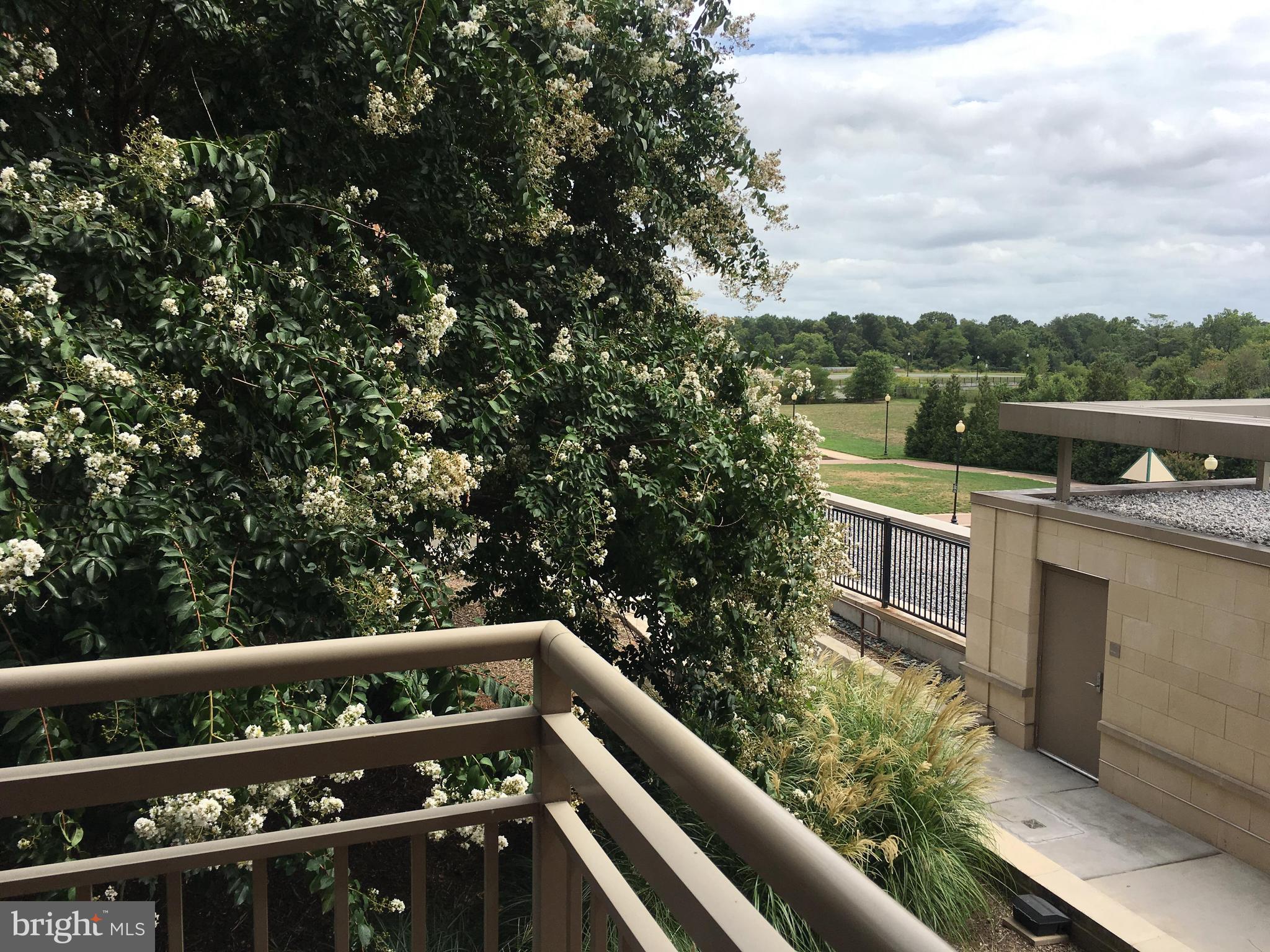 ECLIPSE ON CENTER PARK - Residential Lease