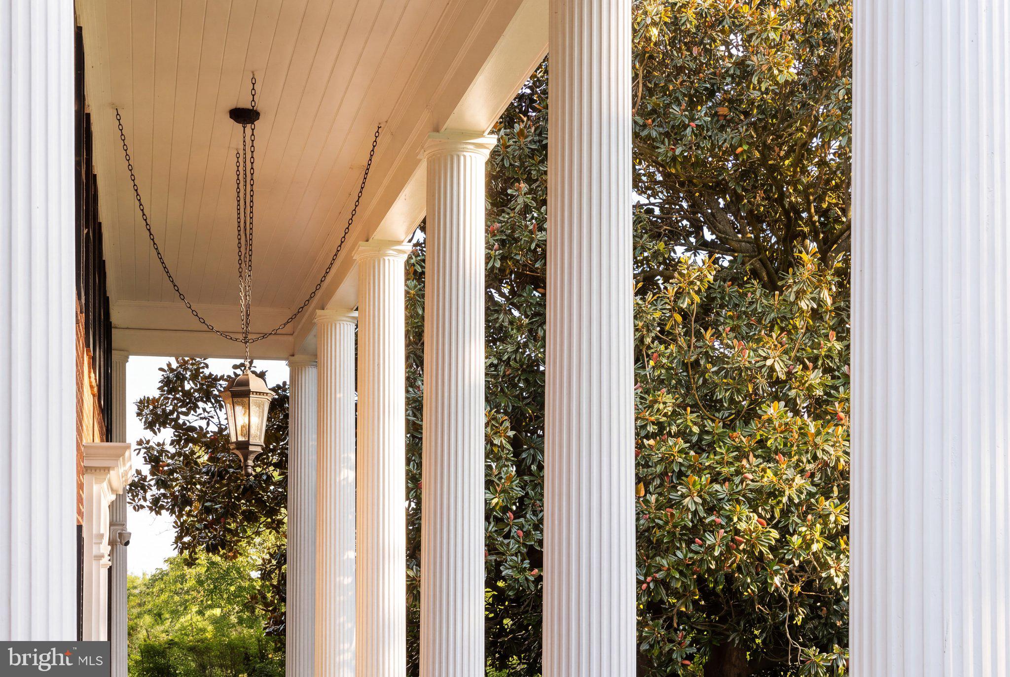 801 RAPIDAN COURT