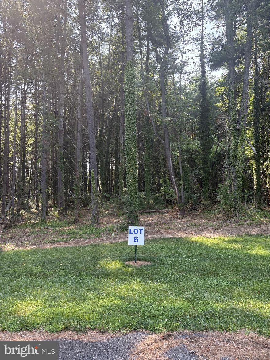 Build your custom Eastern Shore home at Wilson Point Estates, this intimate 14-lot community minutes from the Sassafras River and local marinas. Homesites feature a builder tie-in with Concierge Homes, offering a fully custom design experience guided by Construction Concierge by Conestoga. Design review and minimum building requirements apply. Pricing varies by lot and home design.