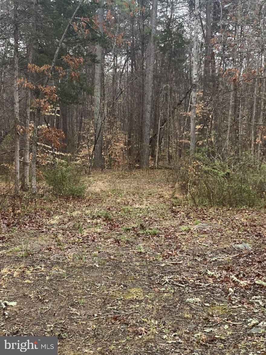 Beautiful 7.2 acre wooded lot with perc approval.  This lot has potential to split.  It is close to the Towns of Culpeper and Madison.  Come build your dream home.