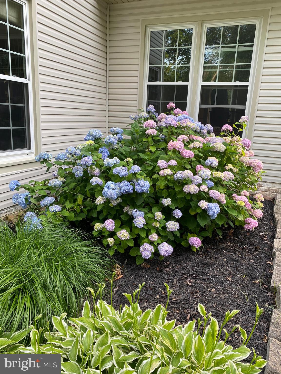 HASTINGS HUNT - Residential Lease