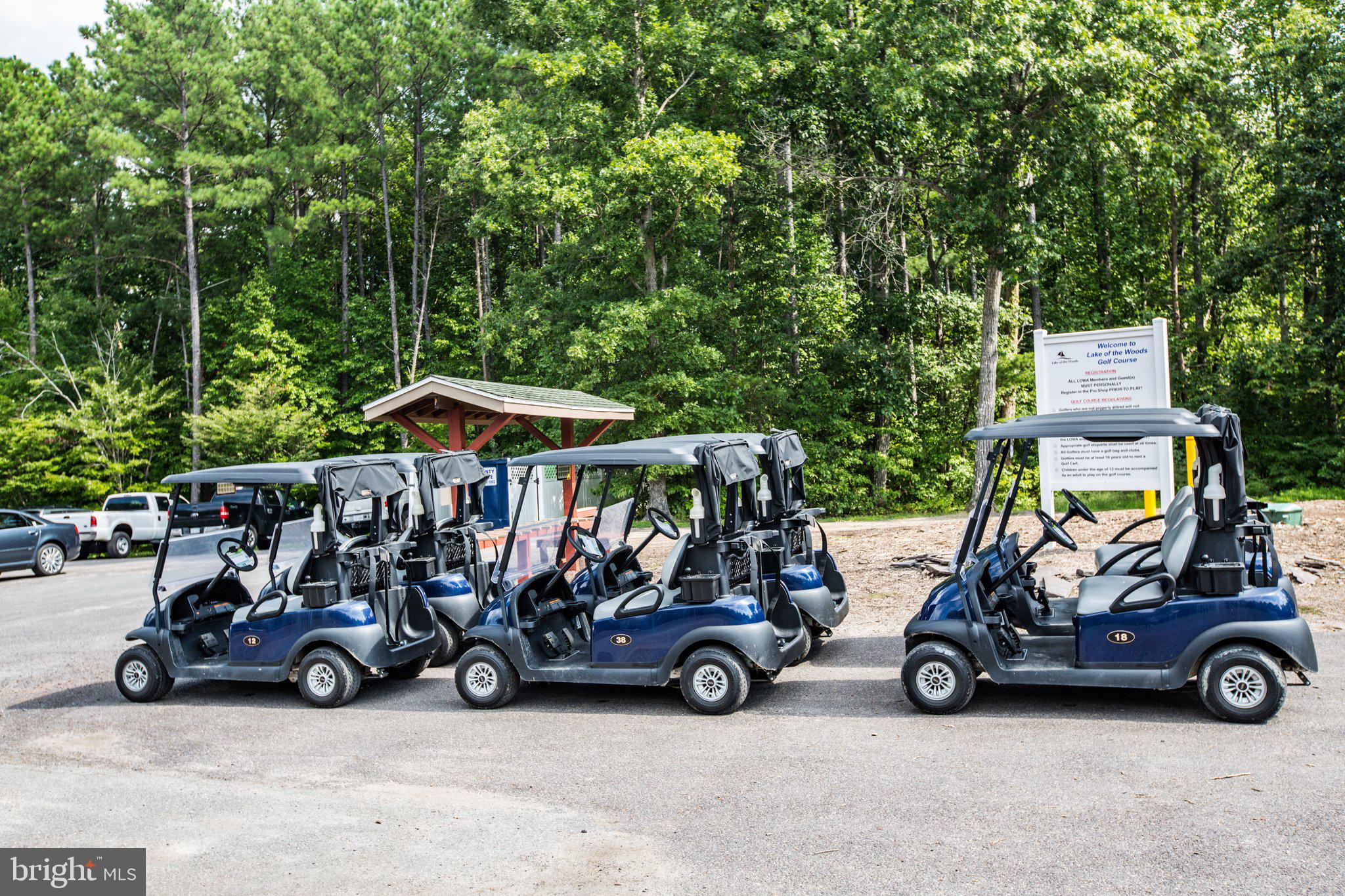 LAKE OF THE WOODS - Residential