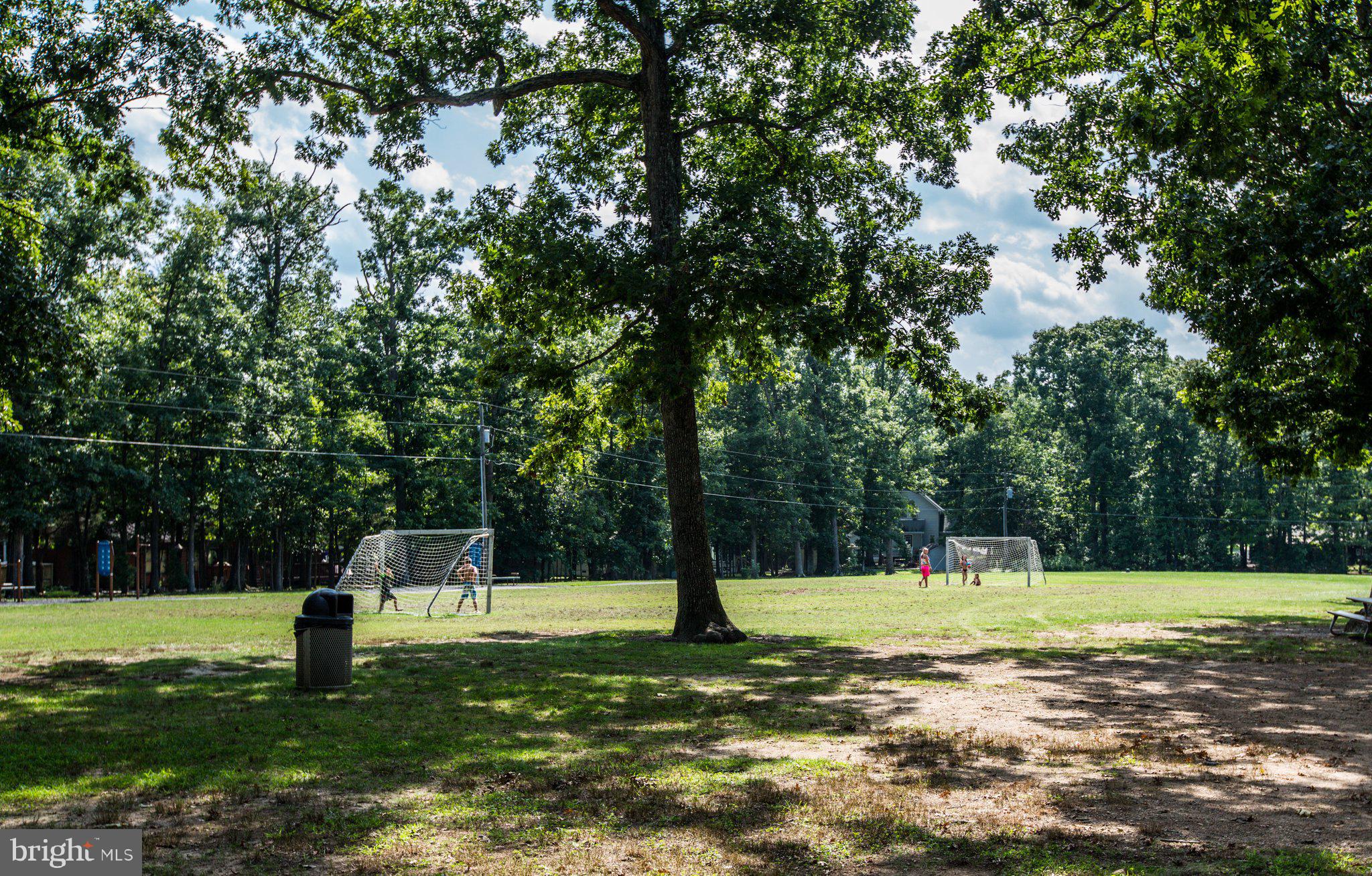 LAKE OF THE WOODS - Residential