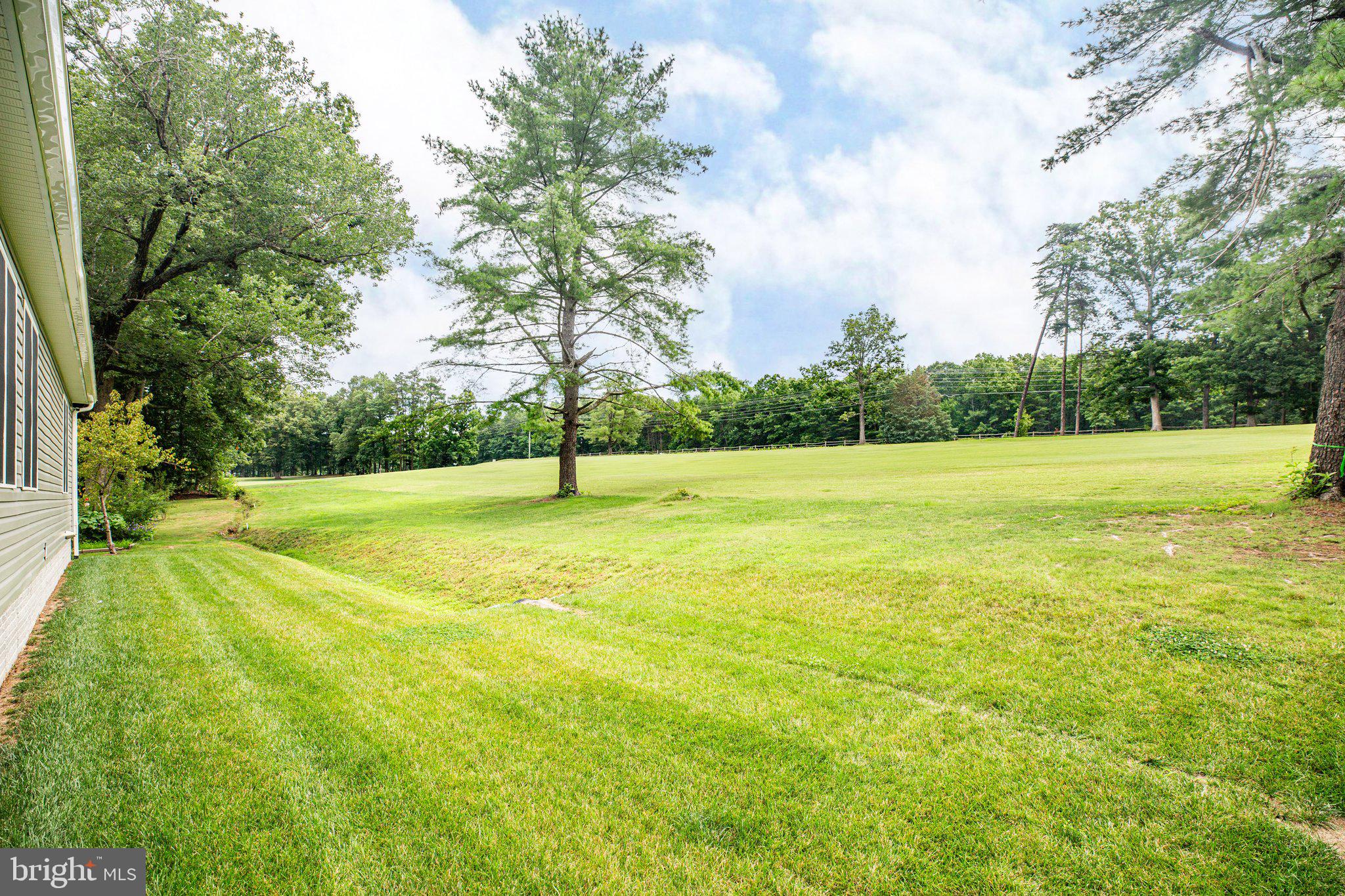 LAKE OF THE WOODS - Residential