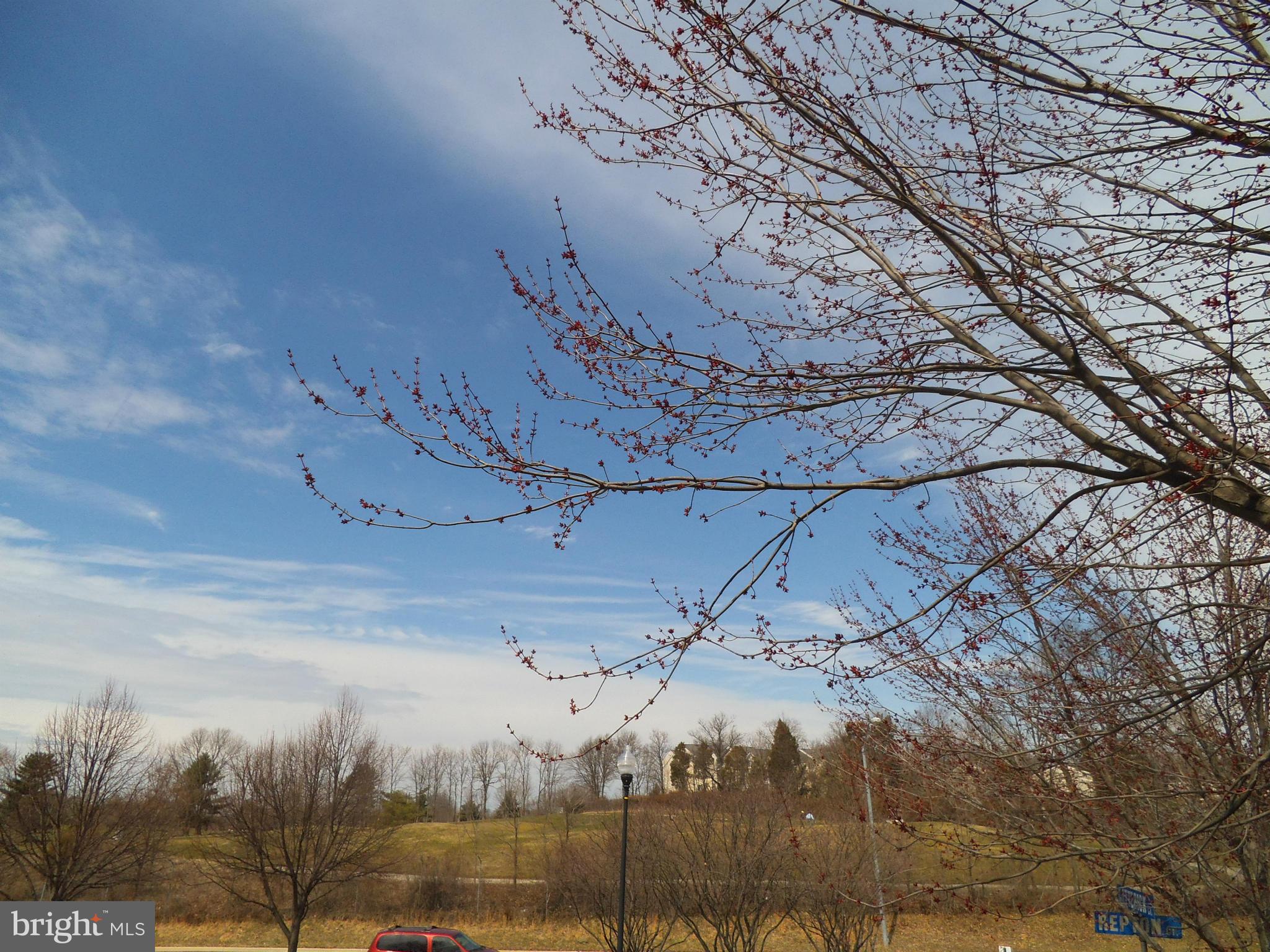 PUTNAM GREEN - Residential