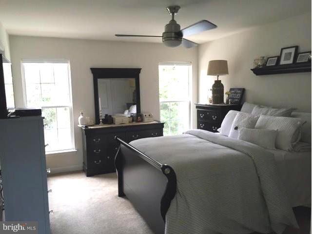 HERALD HARBOR - Residential