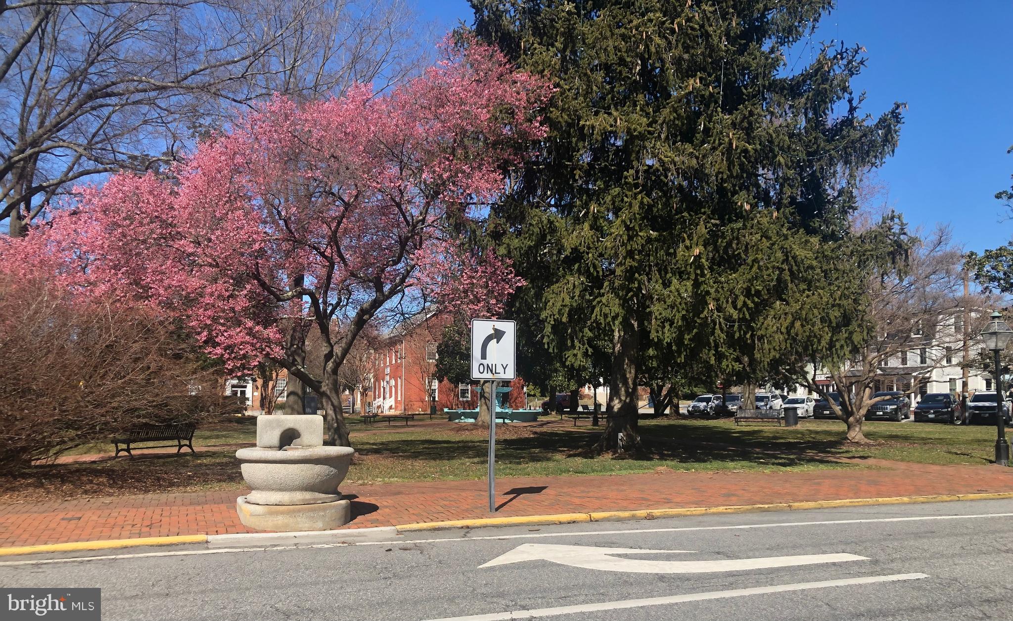 CHESTERTOWN - Residential