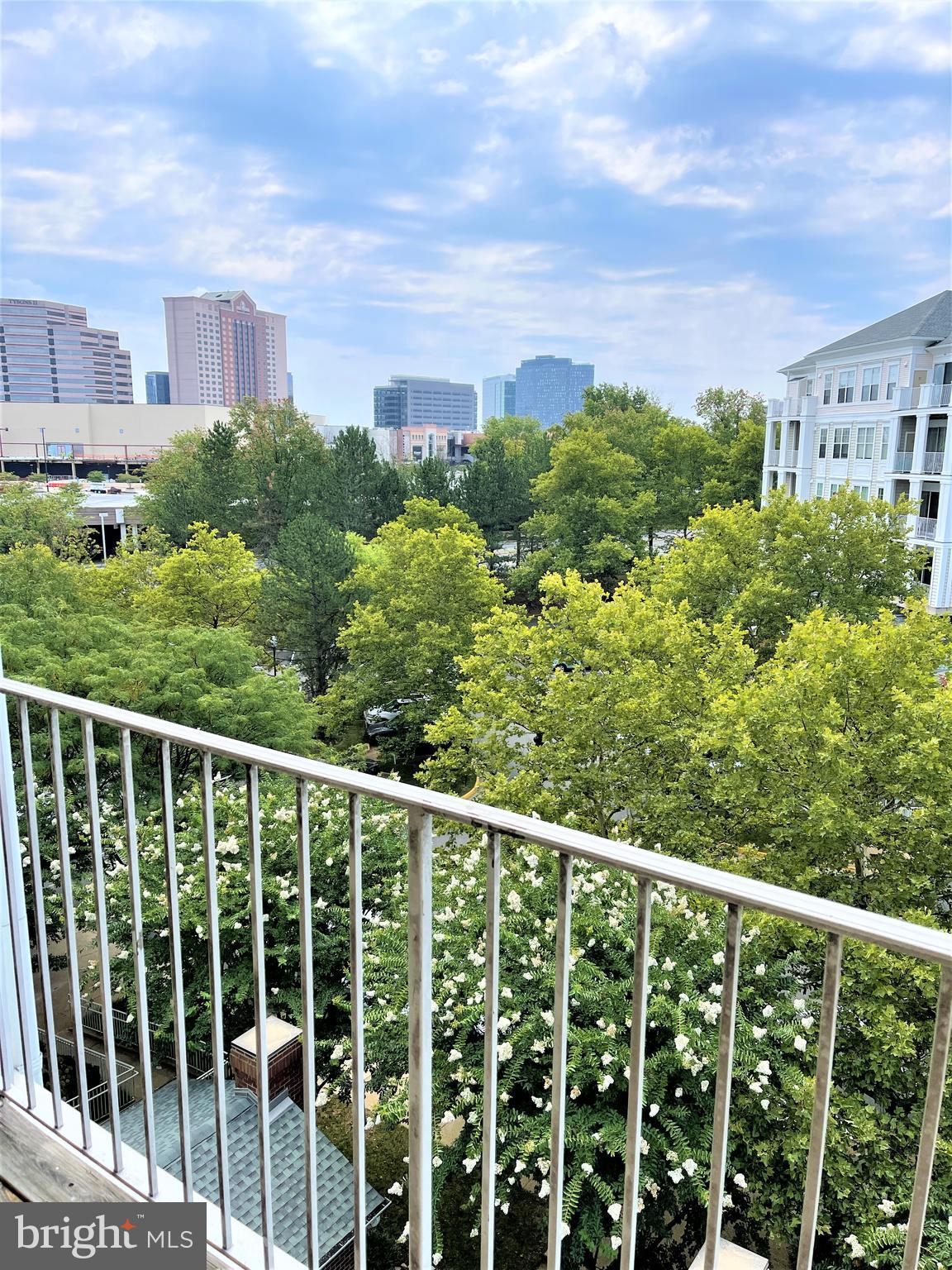 LILLIAN COURT AT TYSONS - Residential Lease