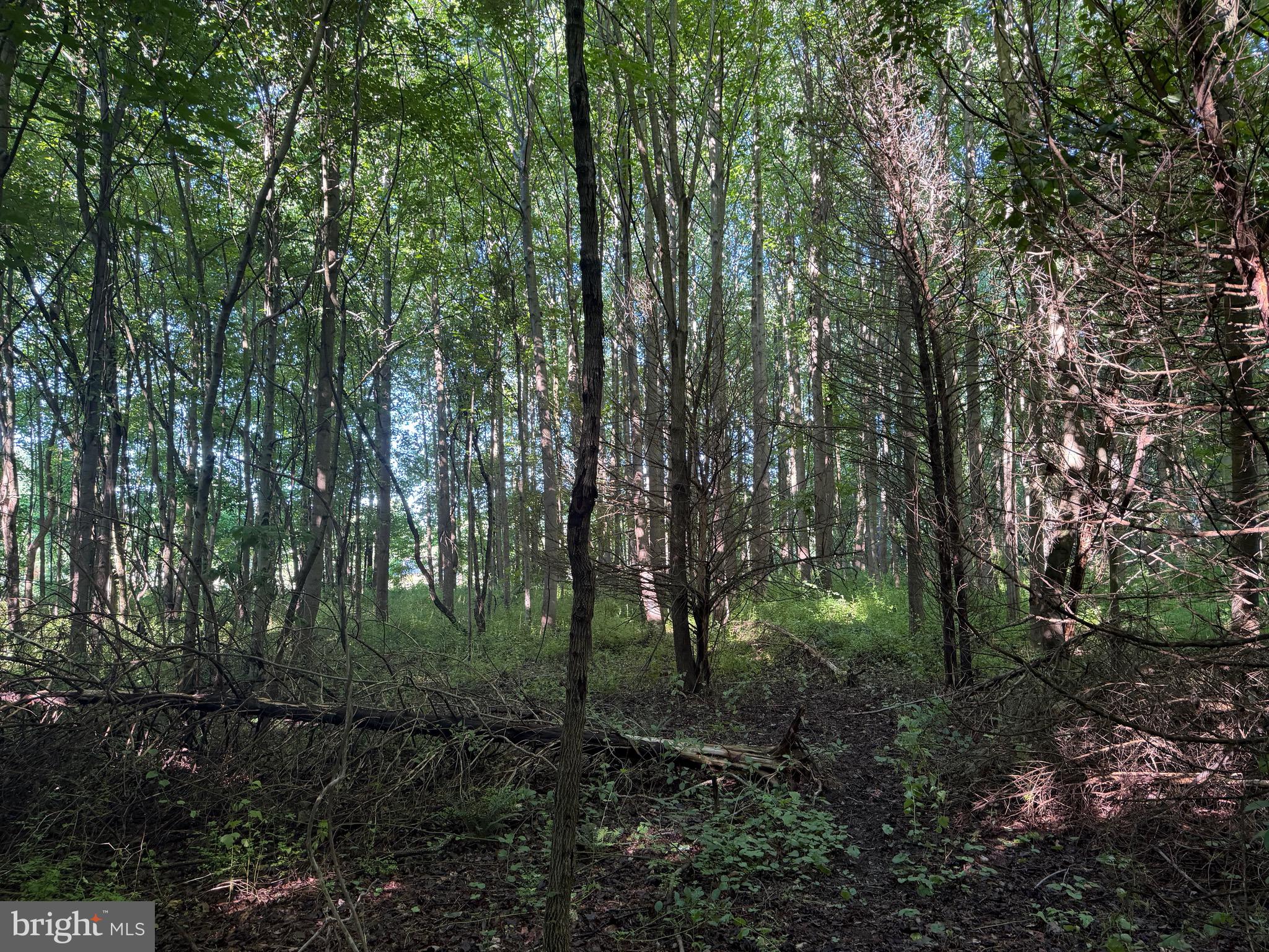0 ROCK SPRINGS ROAD