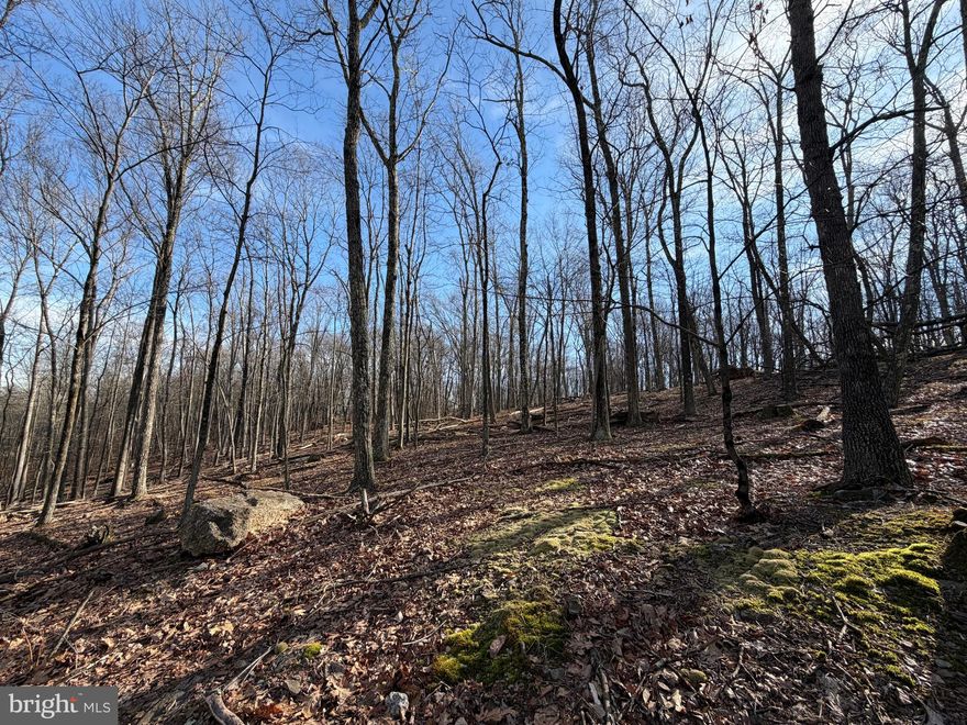 Looking to build in 2026 or beyond?  Secure your lot today!  Situated on a low traveled street with minimal homes, you'll have virtually no neighbors here other than the wildlife.  The adjoining lot 330 Whiteface is also for sale in a separate listing, allowing you to purchase both and build on 1.2 acres.  Whether you've been imagining building a second home or just waiting to build that forever home, WAIT NO MORE!  The Cove Village Community is situated in the foothills of the Poconos and only 1 1/2 hours to New York,  With easy access to I-81 your commute to Hazleton, Wilkes Barre, or Scranton is a breeze.  Bring your own builder and let's get started.   Another cost-saving perc of the community is having public water and sewer already in place and ready for you to connect through Aqua of Pa.   750 acres of unoccupied prime hunting, ATV, and snowmobile riding land surround the residential portion of Cove Village and is allocated only for the residents of the community and their guests!  Driving through the community, the peace and tranquility will envelop you.  At any given moment the deer, turkey, and birds will entertain you in your own backyard.   Homes within the community vary from rustic cabins and chalets to traditional ranch or two-story homes and even exquisite new construction or dreamy mountain log homes.  There really is something for everyone.  The approximately 278 acres of residential homes and lots are occupied by full-time residents, part-time vacation homes, and even some snowbird second homes.  Cove Village offers an abundance of amenities including a swimming pool, stocked fishing lake, a basketball court, tennis courts, a volleyball court, 2 playgrounds, a baseball field, ATV paths, hunting, a mini golf course, walking paths, and year-round Community events.  I can't forget to mention the beautiful lodge ideal for renting for family gatherings.   This lot and community just might be exactly what you've been looking for.  Air B and B are not permitted. Camping on vacant lots is not permitted.  Mobile homes are not permitted.  Modular homes are permitted. The minimum square footage when building is 1400 square feet.  The community maintains the roads and snow removal.  Trash collection is also provided.   An appointment is required to view due to the gated community.  Call to schedule your tour today!