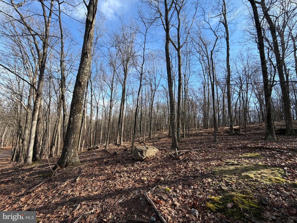 Photo of 331 Whiteface Circle, ZION GROVE, PA 17985 (MLS # PASK2025108)