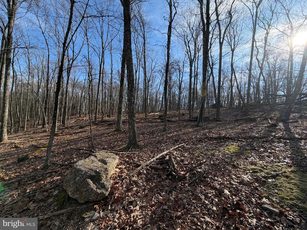 Photo of 331 Whiteface Circle, ZION GROVE, PA 17985 (MLS # PASK2025108)