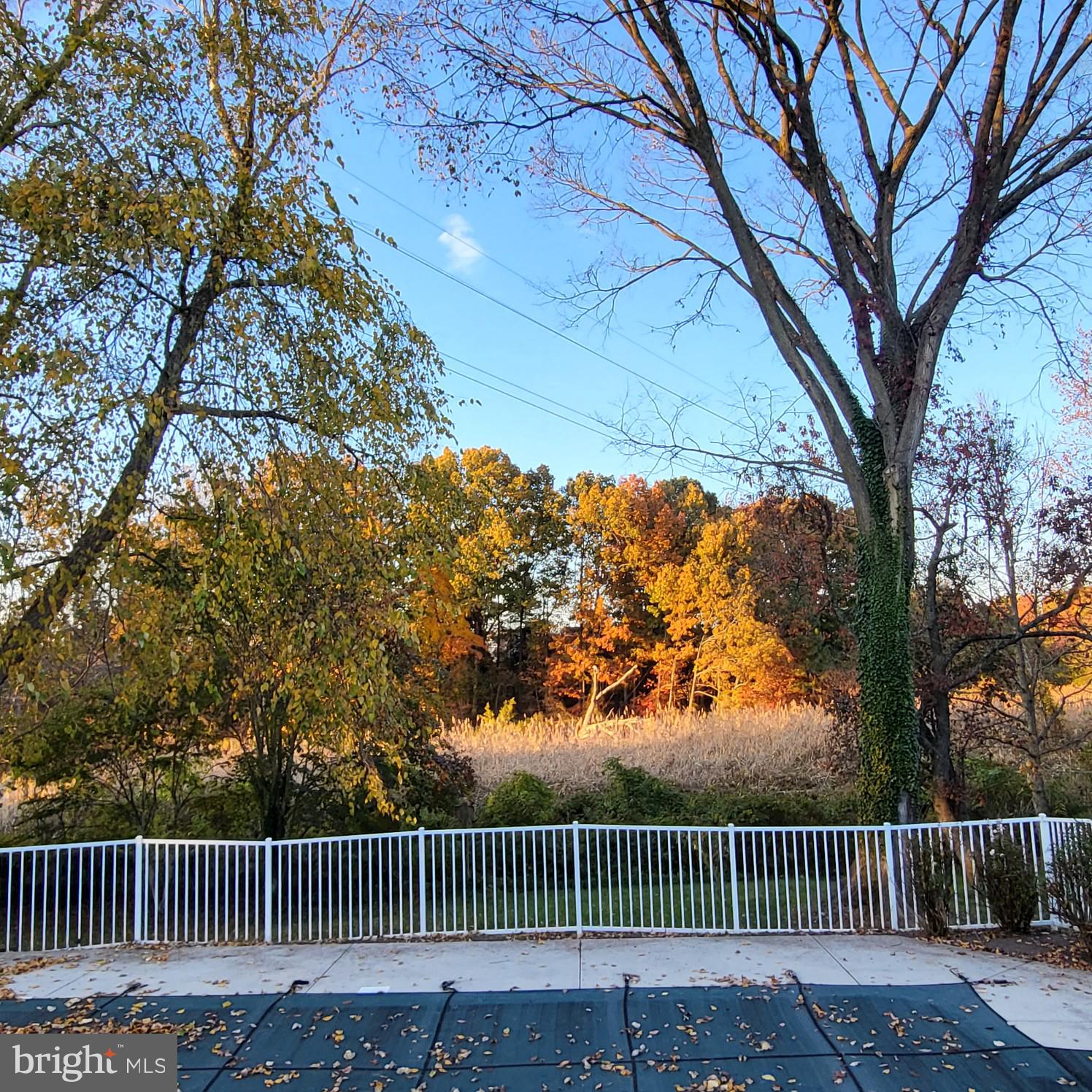 THREAD HAVEN - Residential