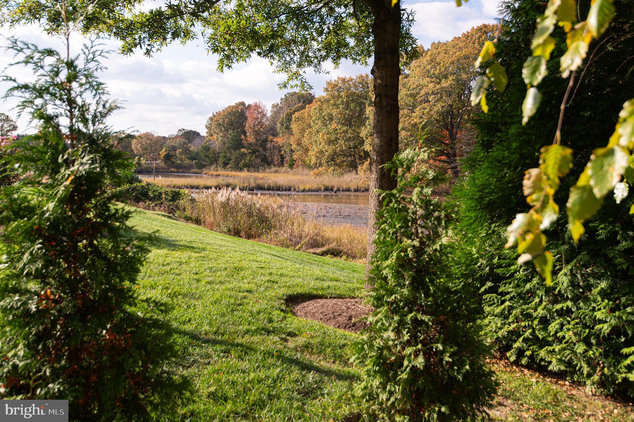 THREAD HAVEN - Residential