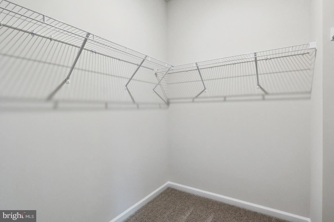 RESERVE AT DAMASCUS - Residential