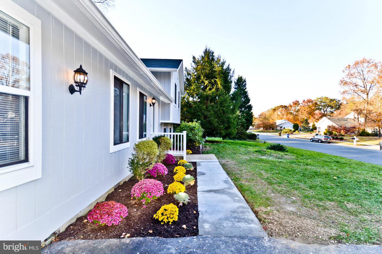 PINEFIELD - Residential