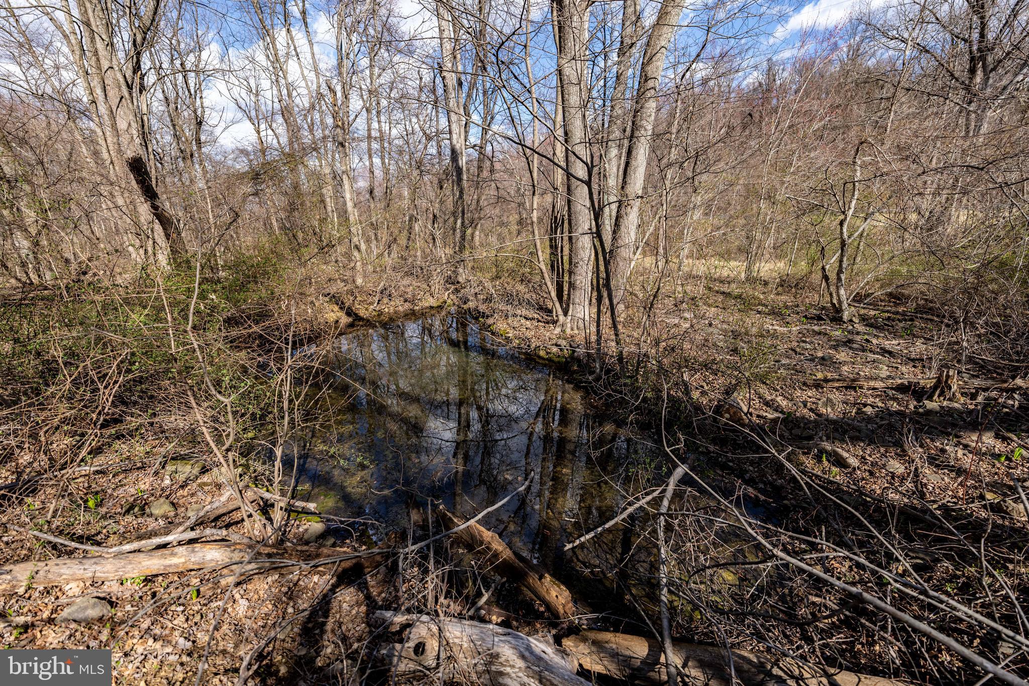 LAKE FRONT ROYAL - Residential
