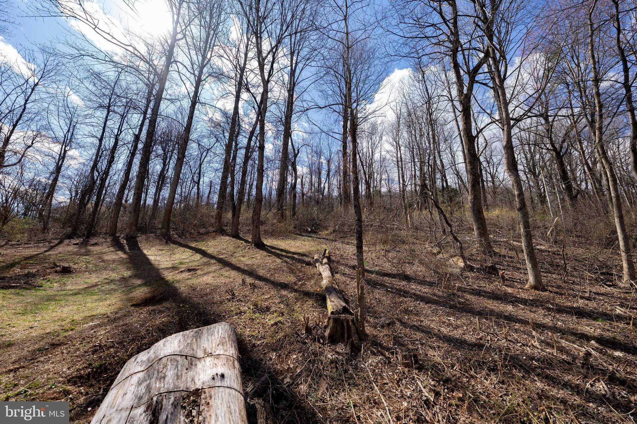 LAKE FRONT ROYAL - Residential