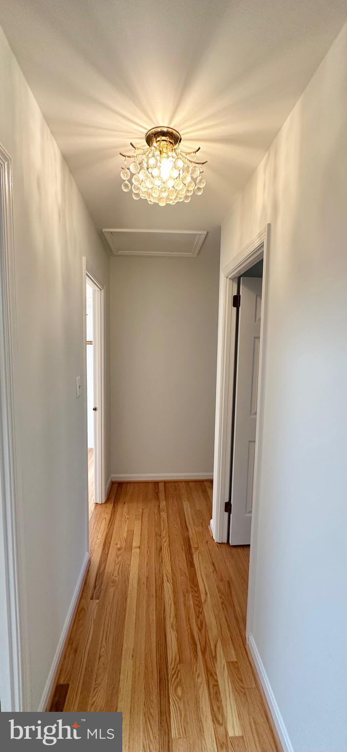 BROYHILL FOREST - Residential Lease