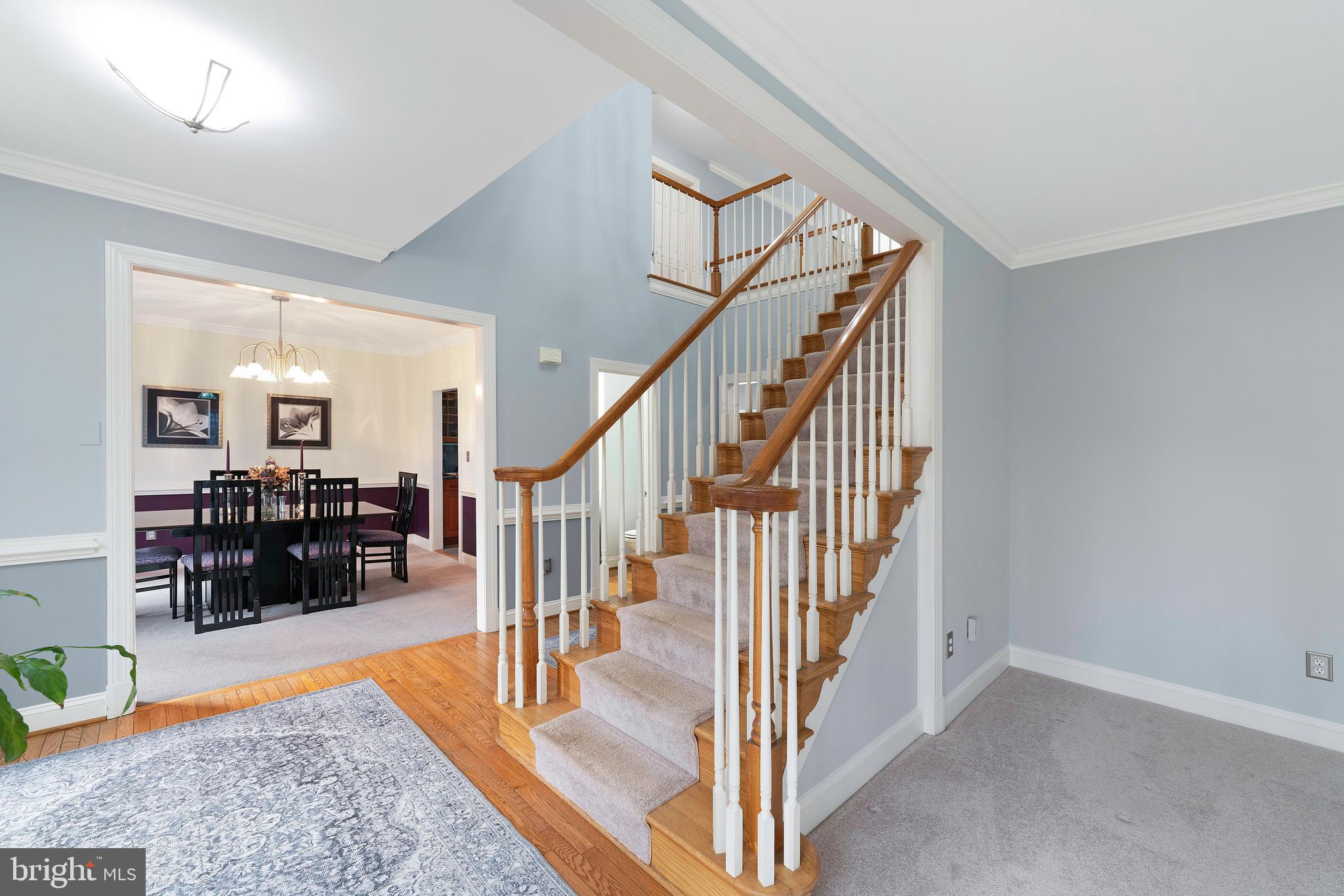 CLIFTON MEADOWS - Residential