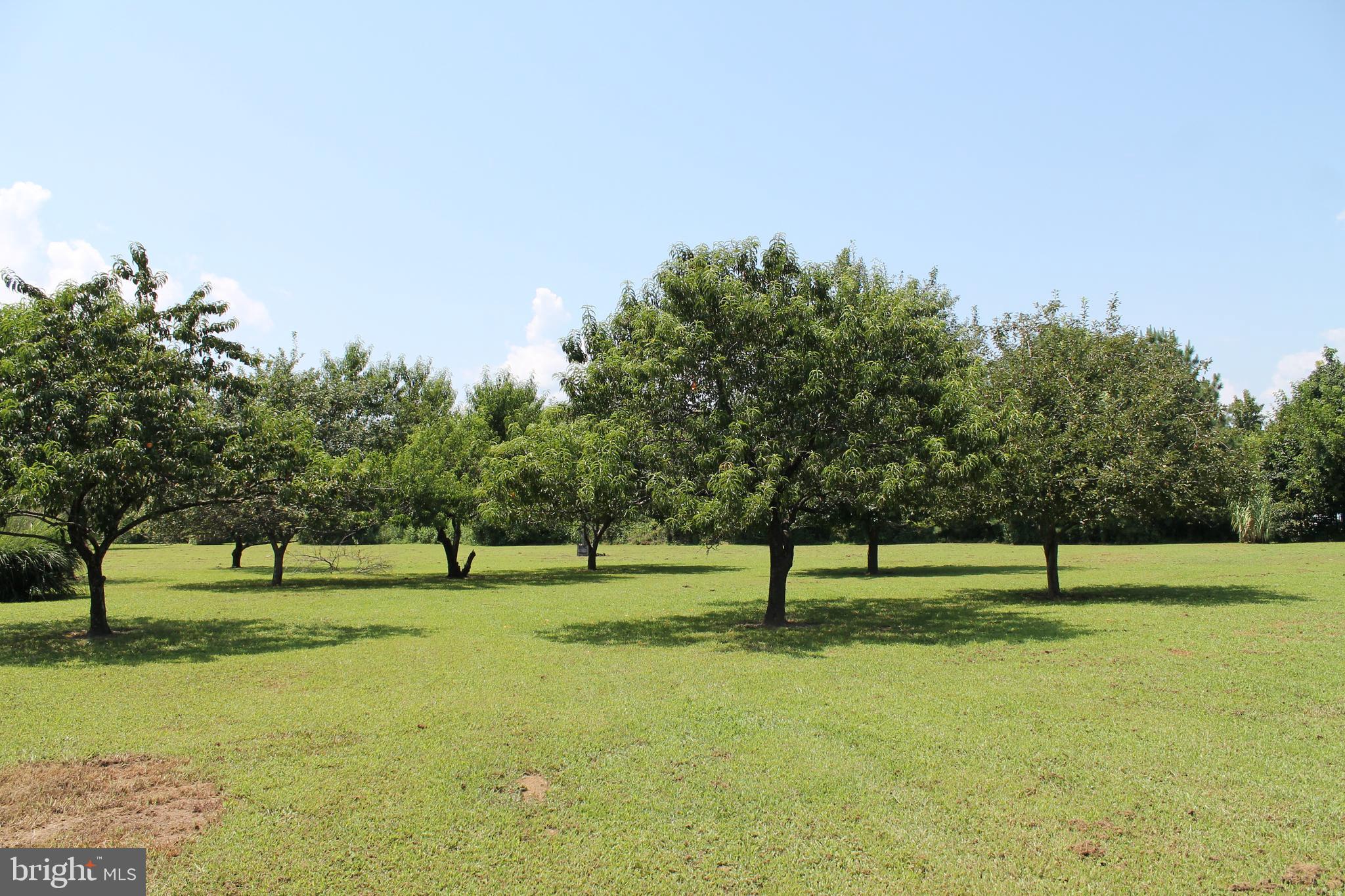 MEADOW AT DAHLGREN - Residential