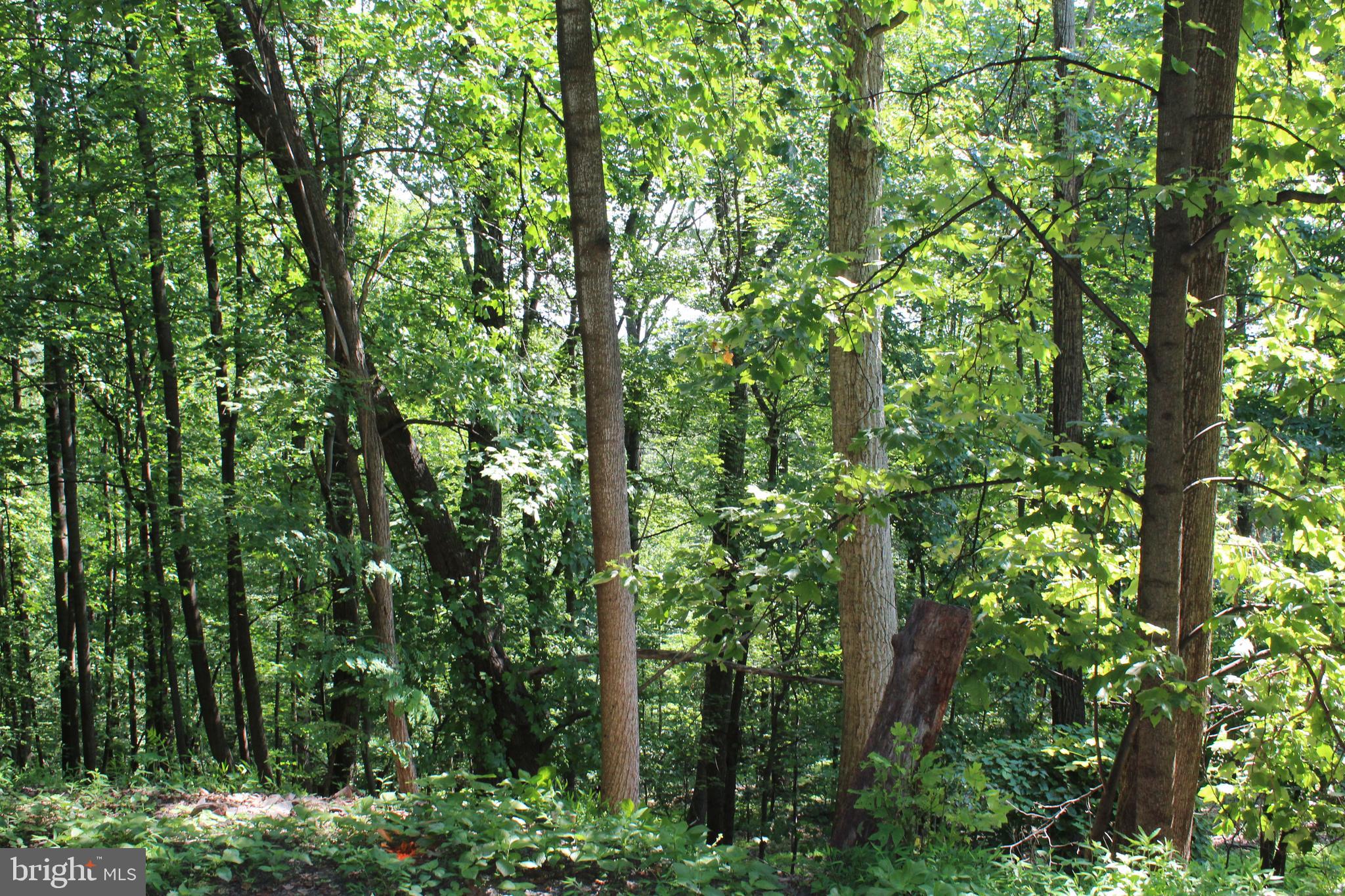 1507, 1505, 1503, 1501 SUMMIT DRIVE