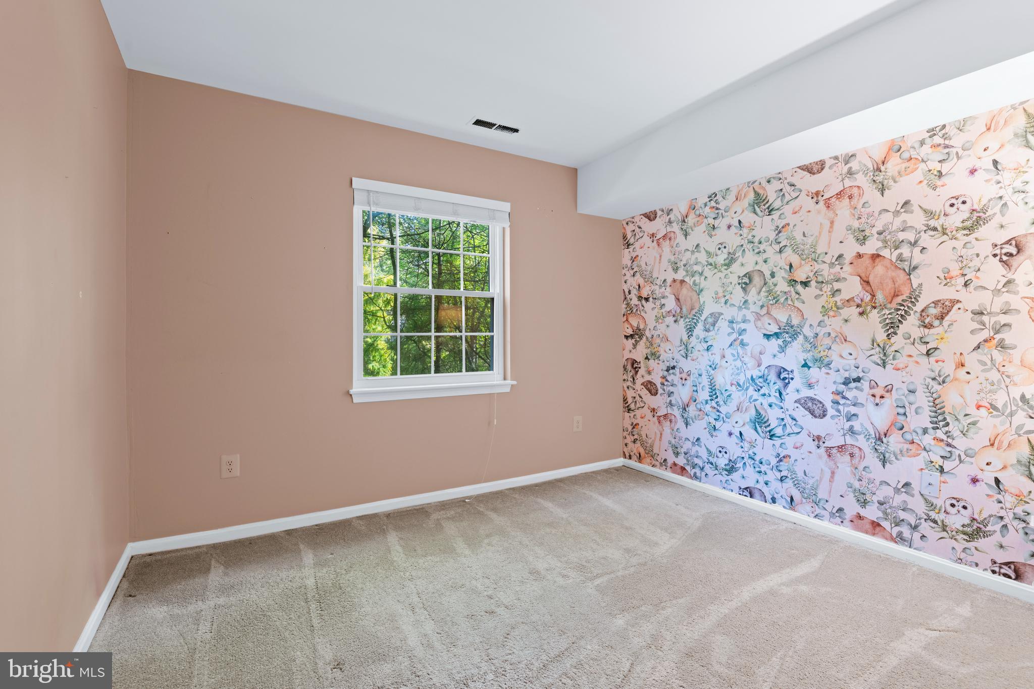 VILLAGE OF MONTGOMERY RUN - Residential